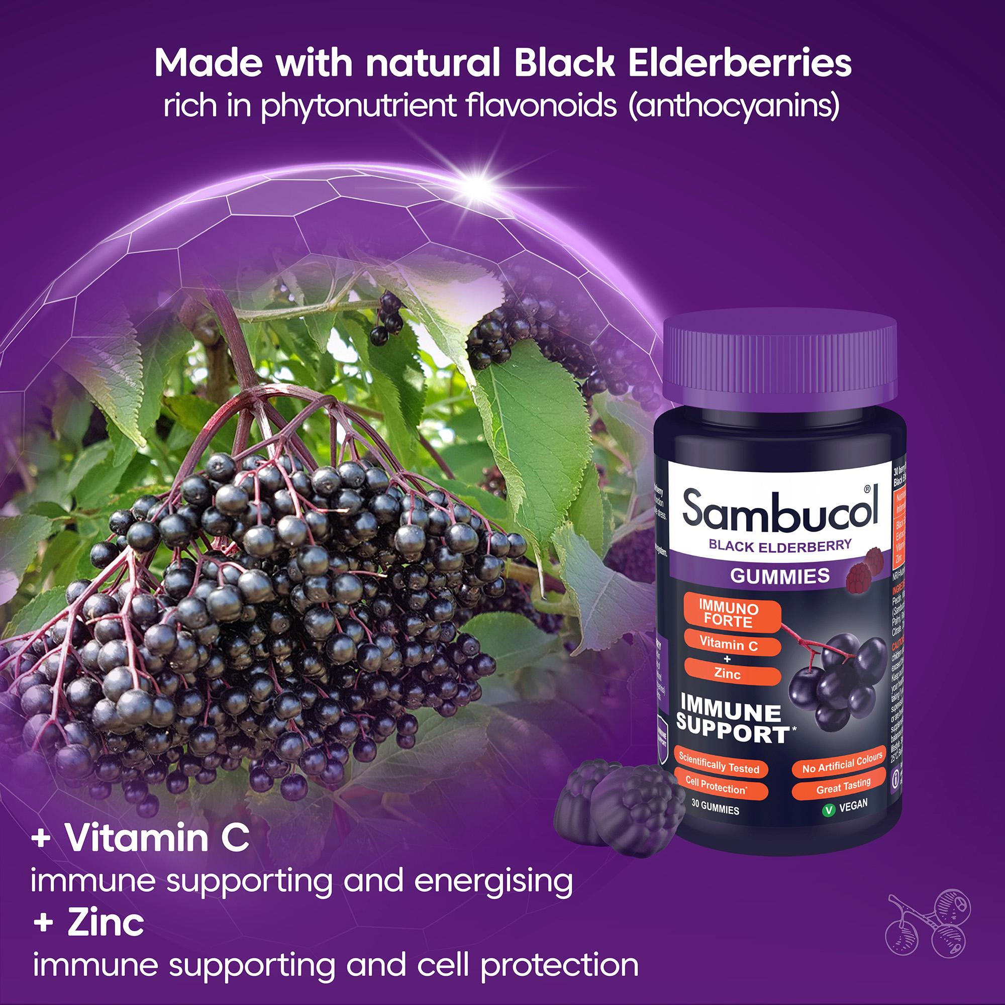Sambucol Immuno Forte Black Elderberry Gummies x30 thumbnail 4