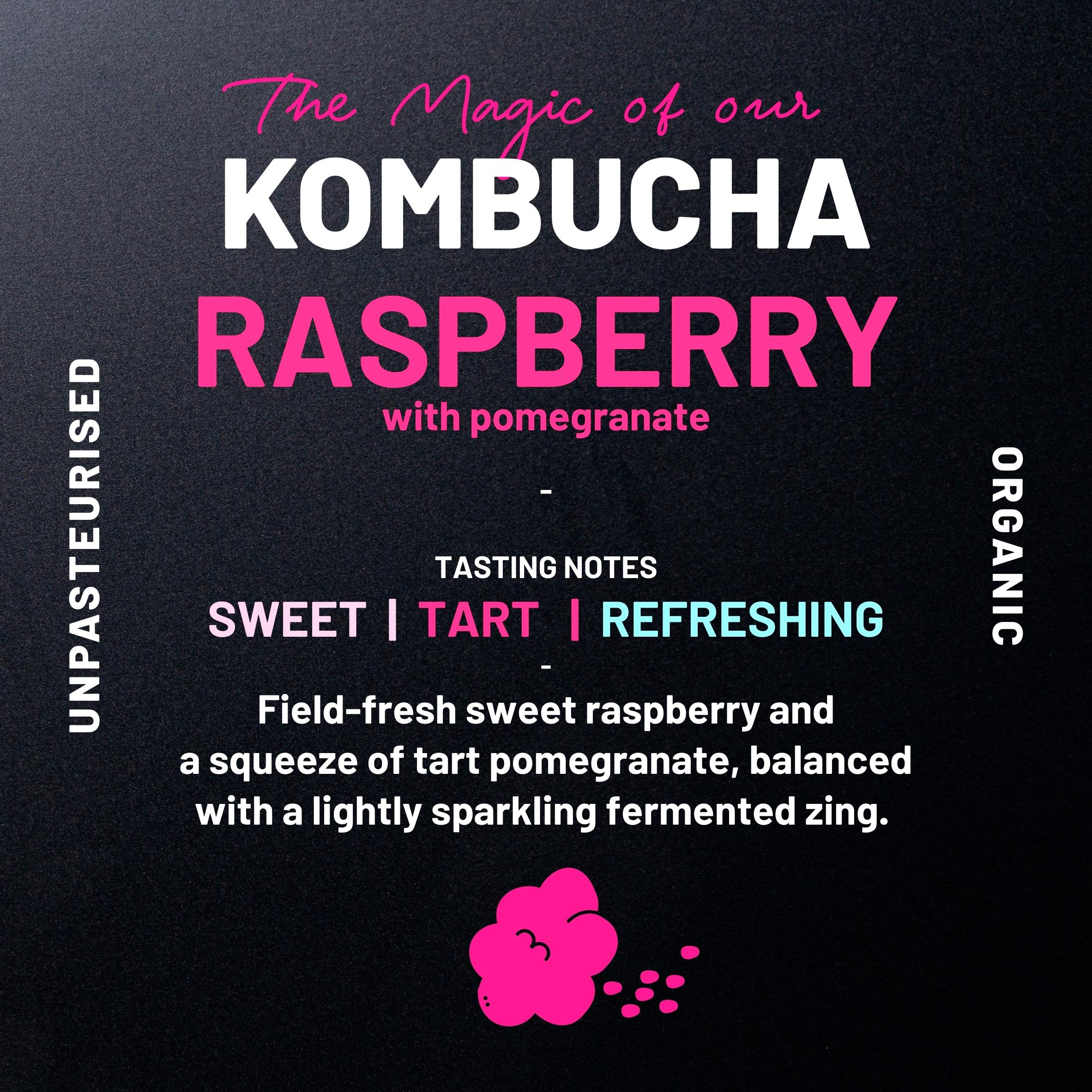 One Living Raspberry Kombucha with Pomegranate 4x250ml thumbnail 2