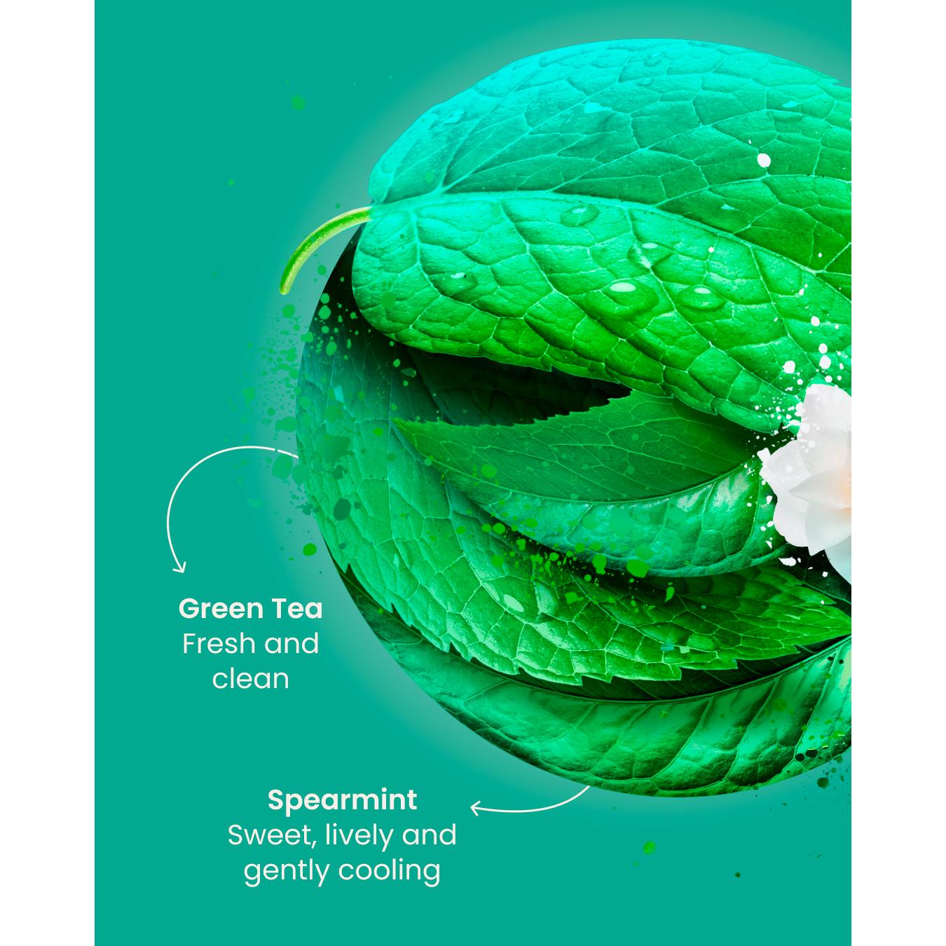 Good Earth Moroccan Mint Tea Bags x15 thumbnail 5