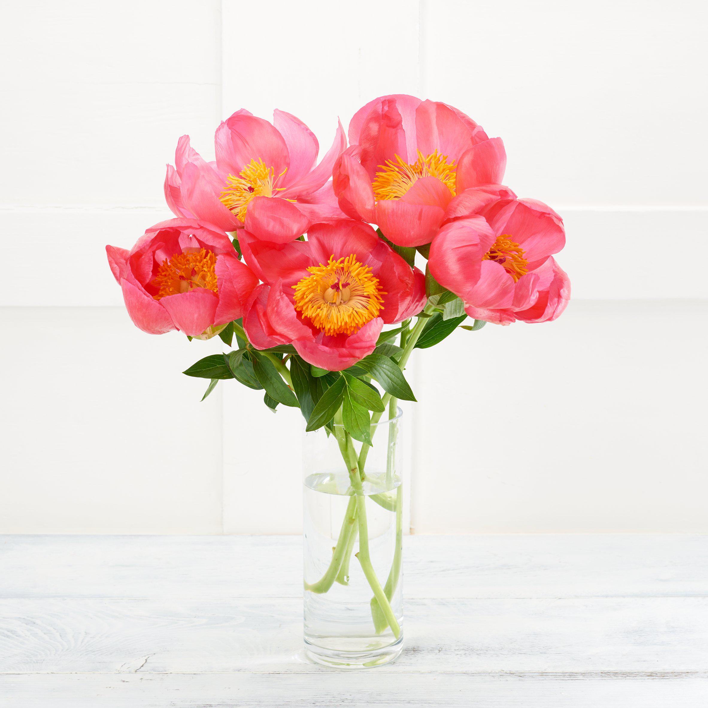 Peonies