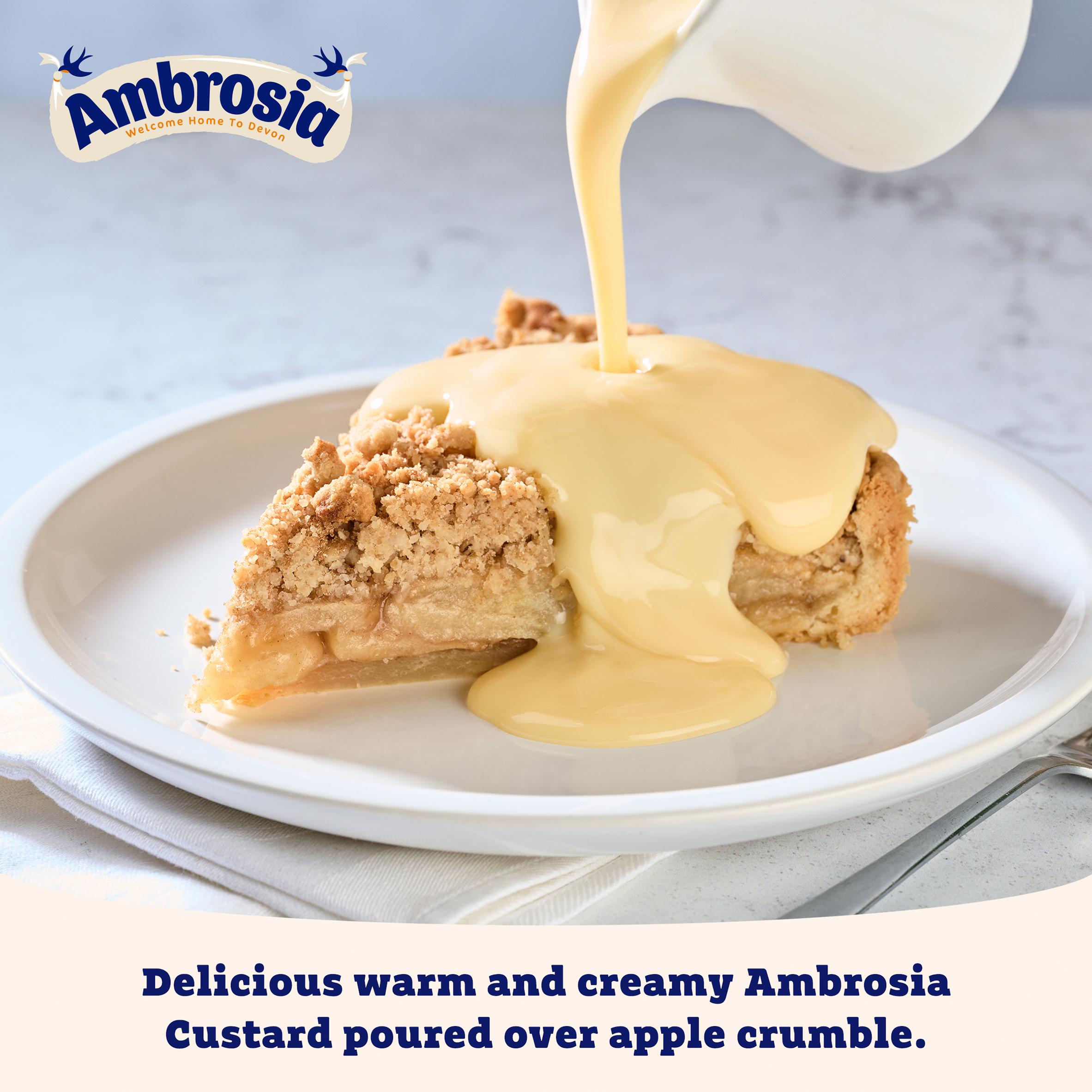 Ambrosia Devon 1kg Custard Carton thumbnail 3