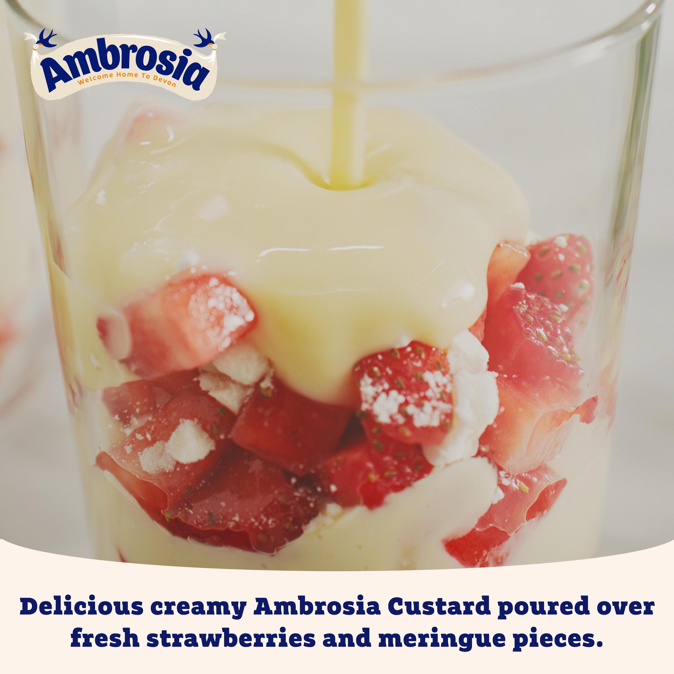 Ambrosia Devon 1kg Custard Carton thumbnail 5