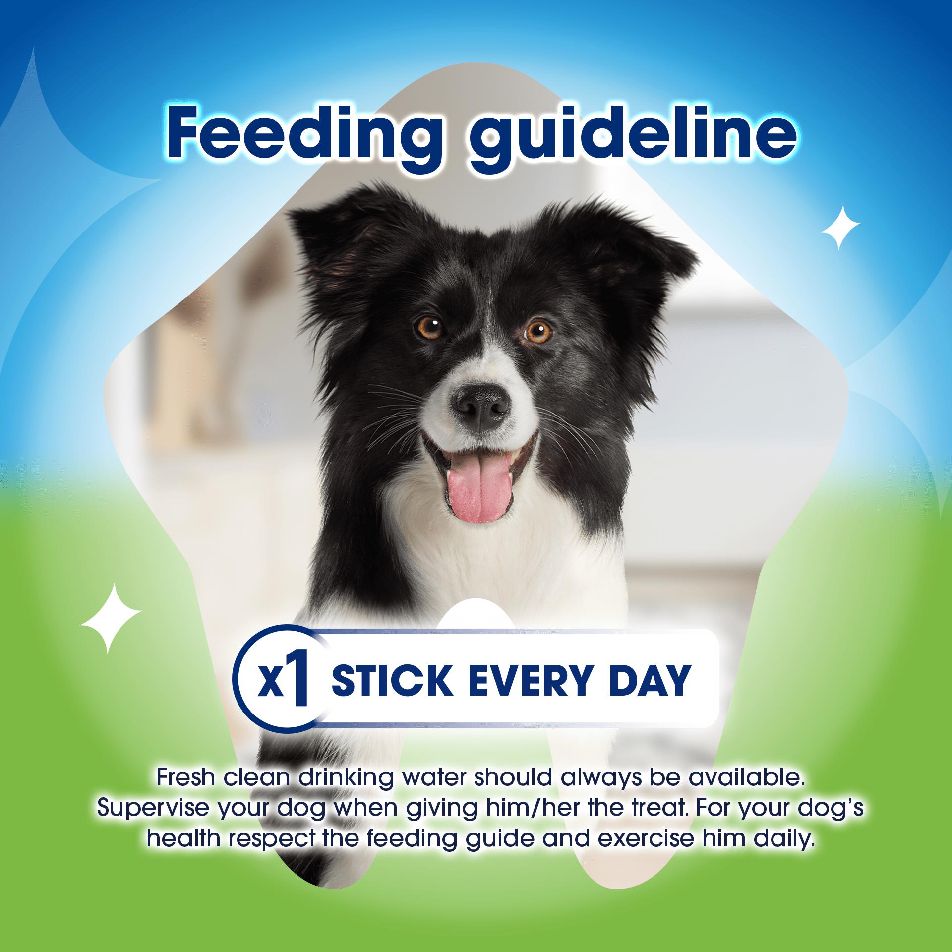 Dentalife ActivFresh Large Dental Chicken Dog Chews Sticks x4 thumbnail 5