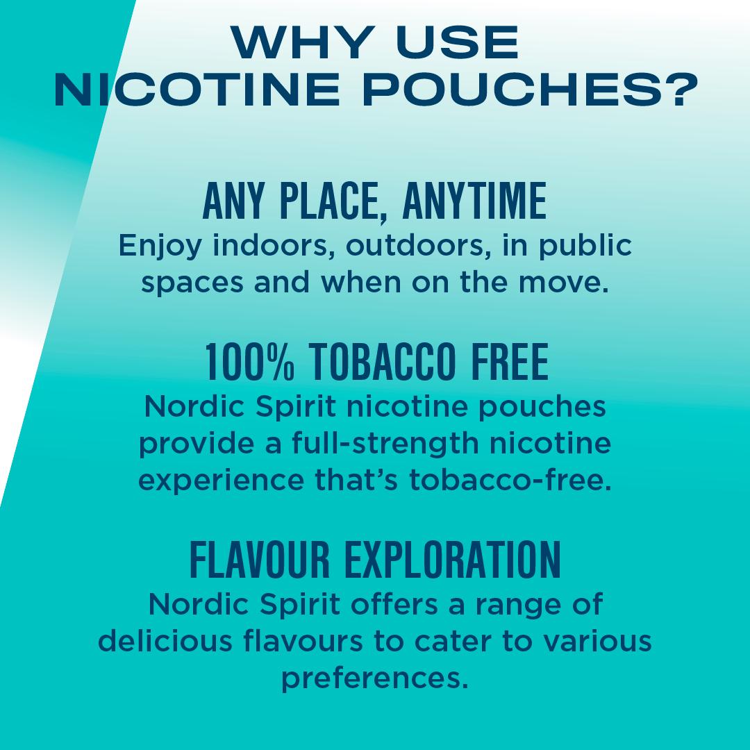 Nordic Spirit Nicotine Pouch Spearmint 12mg thumbnail 4