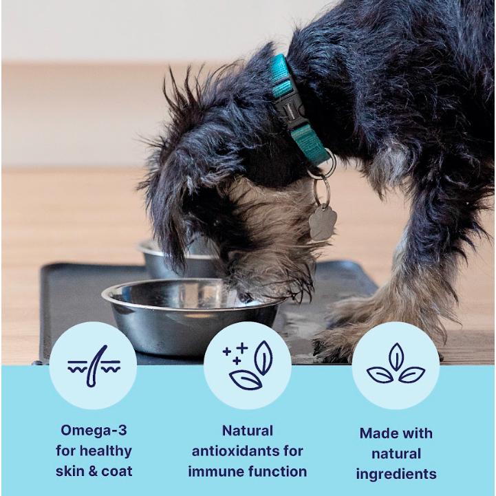 tails.com Inner Vitality Advanced Nutrition for Adult Wet Dog Food Chicken 150g thumbnail 3