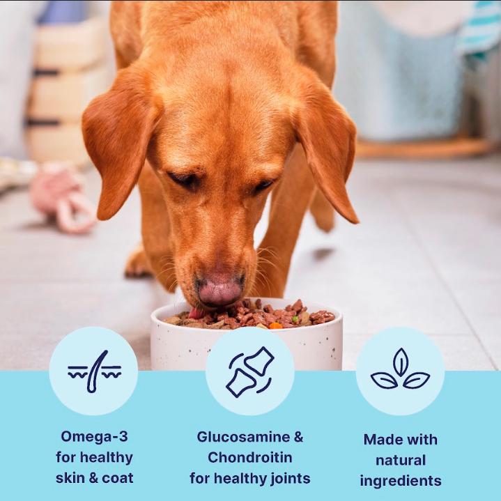 tails.com Inner Vitality Advanced Nutrition Wet Dog Food Chicken 150g thumbnail 2
