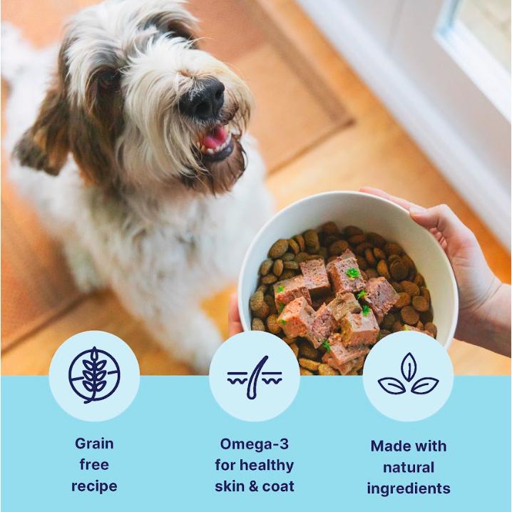 tails.com Inner Vitality Advanced Nutrition Chicken with Cod Wet Dog Food 150g thumbnail 2