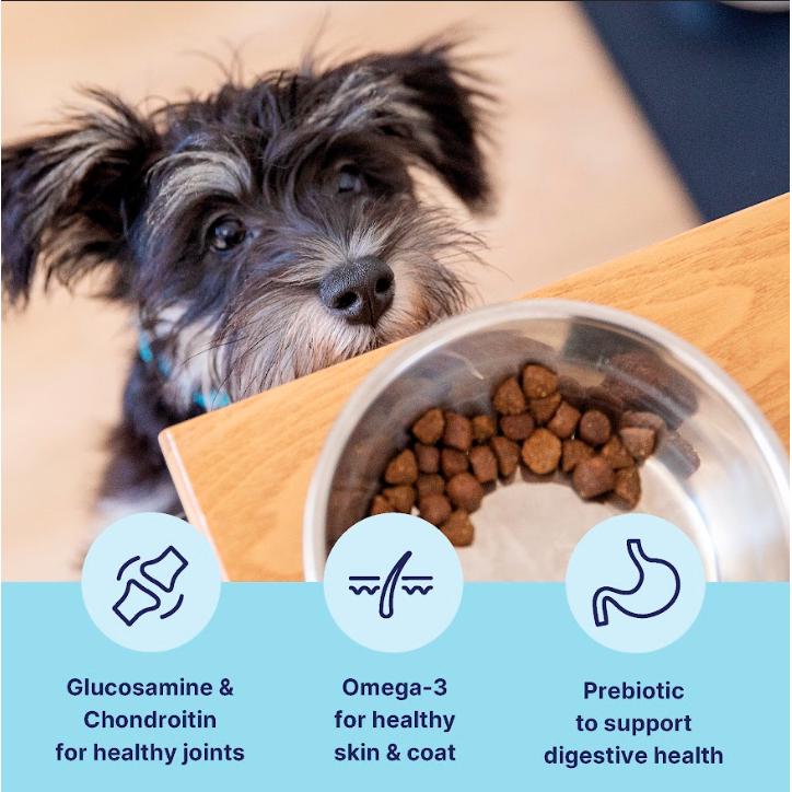 tails.com Inner Vitality with Freshly Prepared Chicken Toy & Small Adult Dry Dog Food 8 Months - 8 Years 2kg thumbnail 2