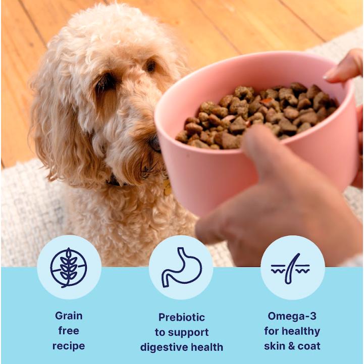 tails.com Inner Vitality Advanced Nutrition Dry Dog Food Sensitive Salmon 2kg thumbnail 2