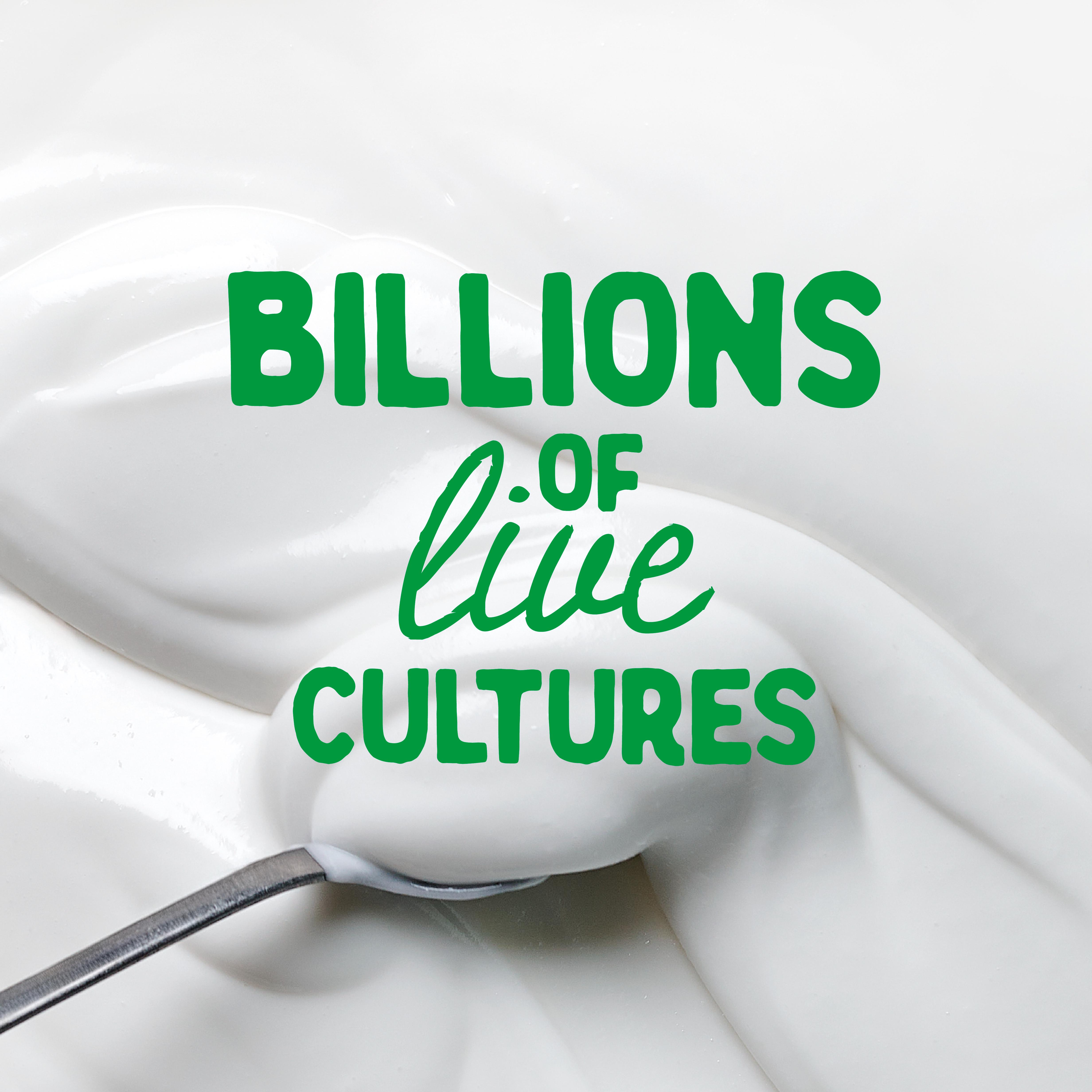The Coconut Collab Gut Health Plain Coconut Yoghurt 350g thumbnail 2
