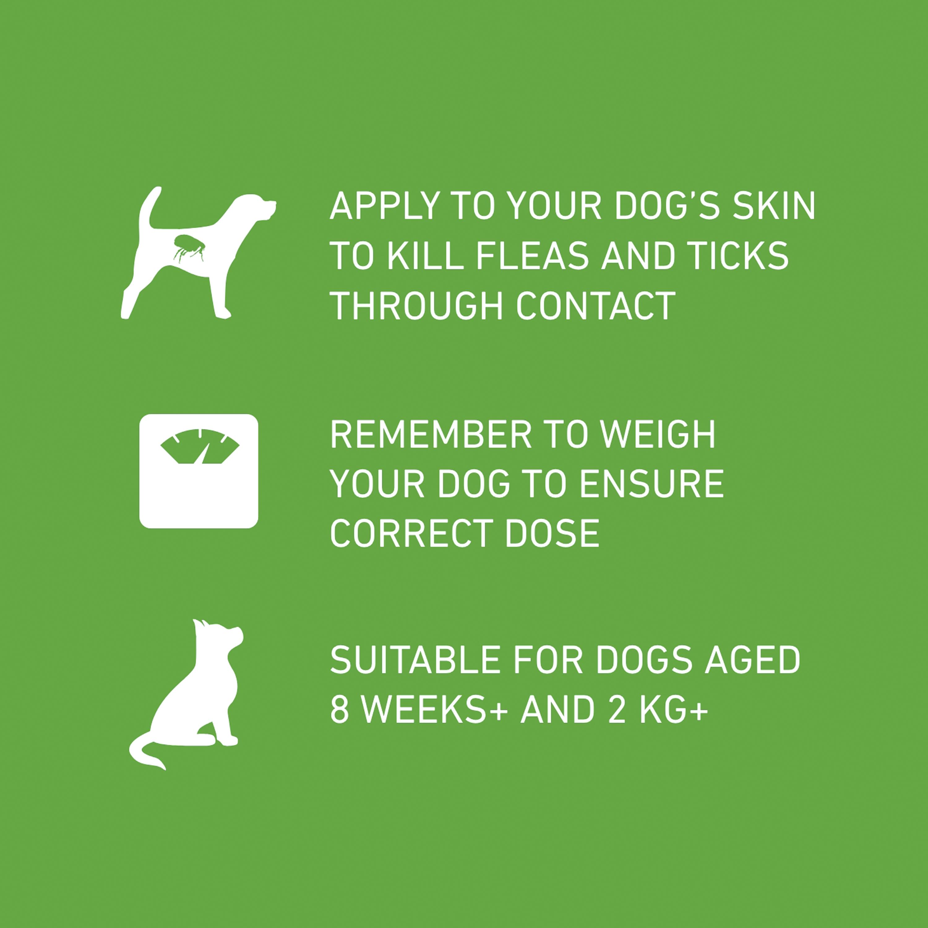 Frontline Plus Flea & Tick Treatment Small Dog 2 up to 10kg x1 thumbnail 4