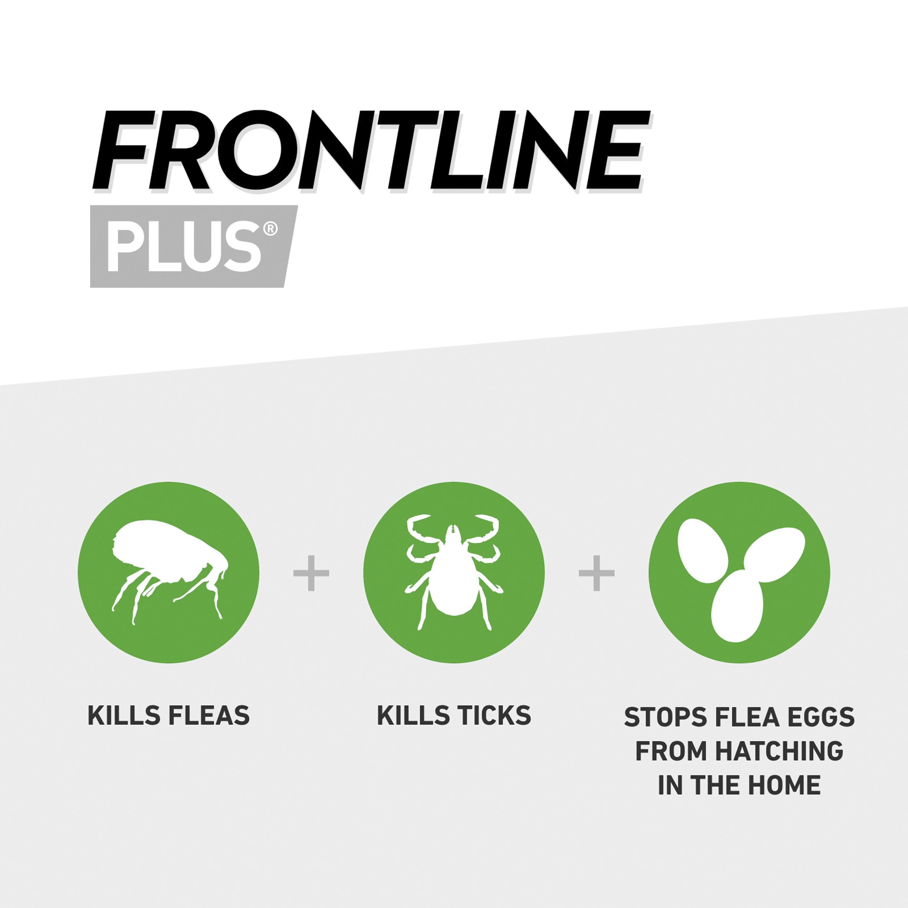 Frontline Plus Spot On Dog L 20 up to 40kg thumbnail 2