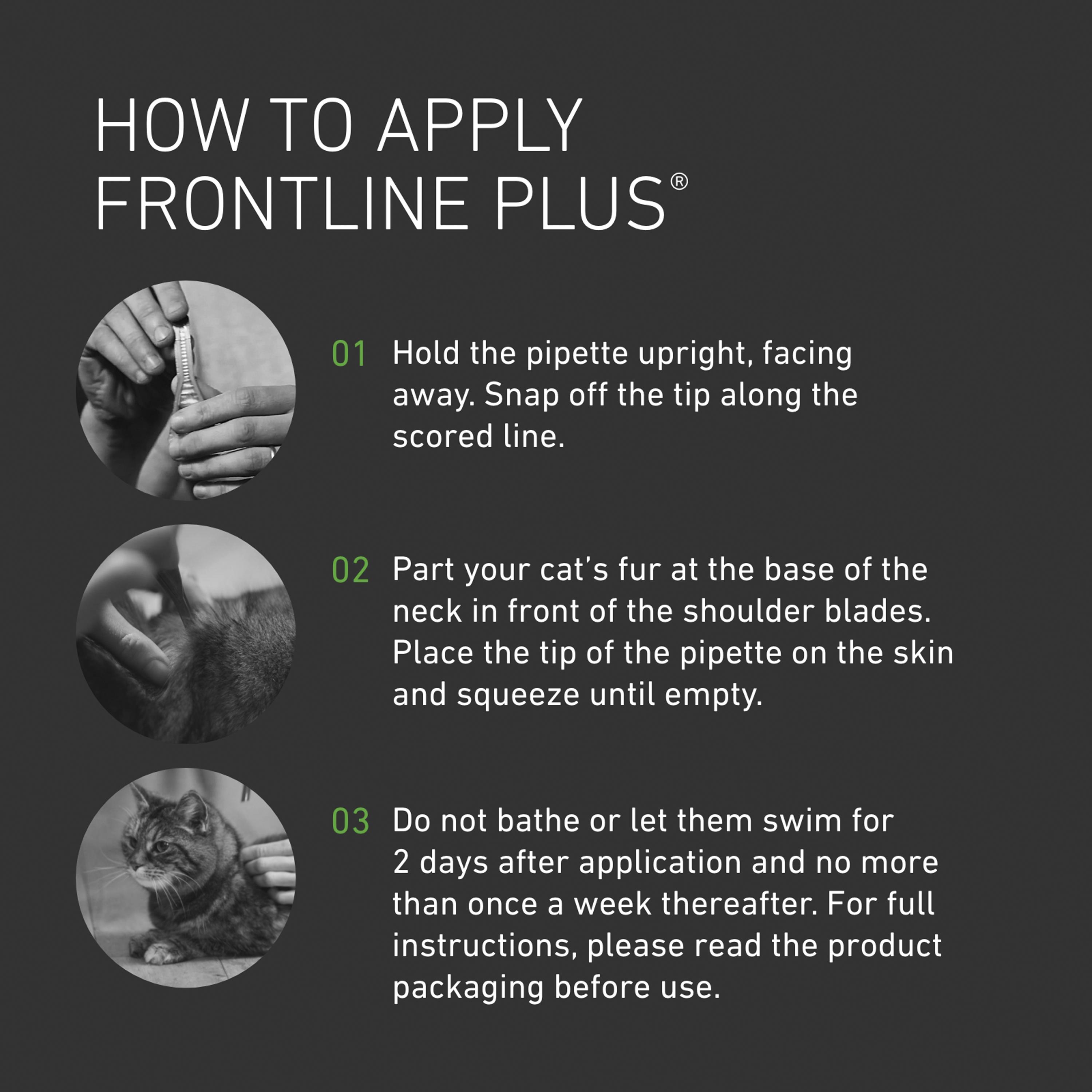 Frontline Plus Cat Flea & Tick Treatment x1 thumbnail 3