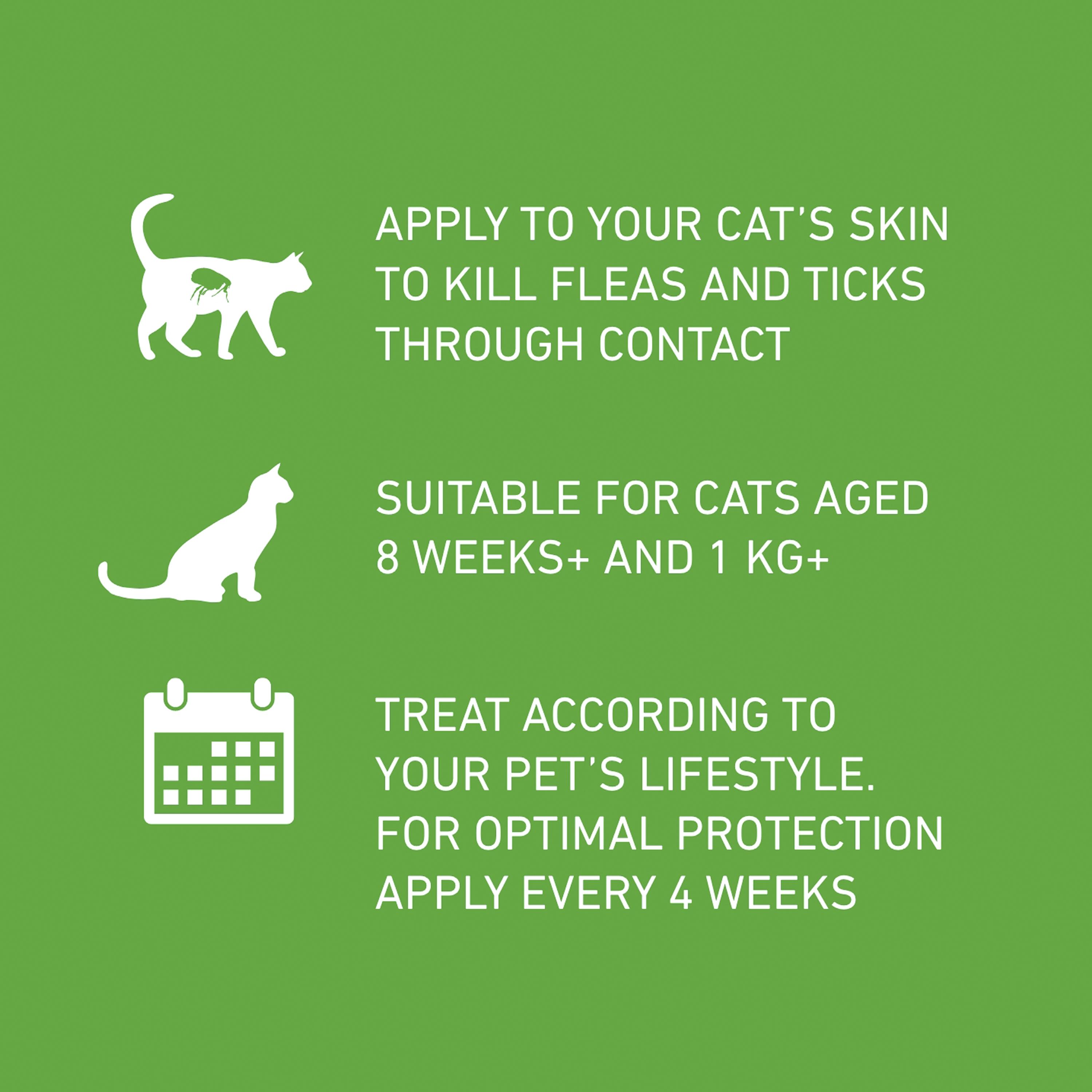 Frontline Plus Cat Flea & Tick Treatment x1 thumbnail 4