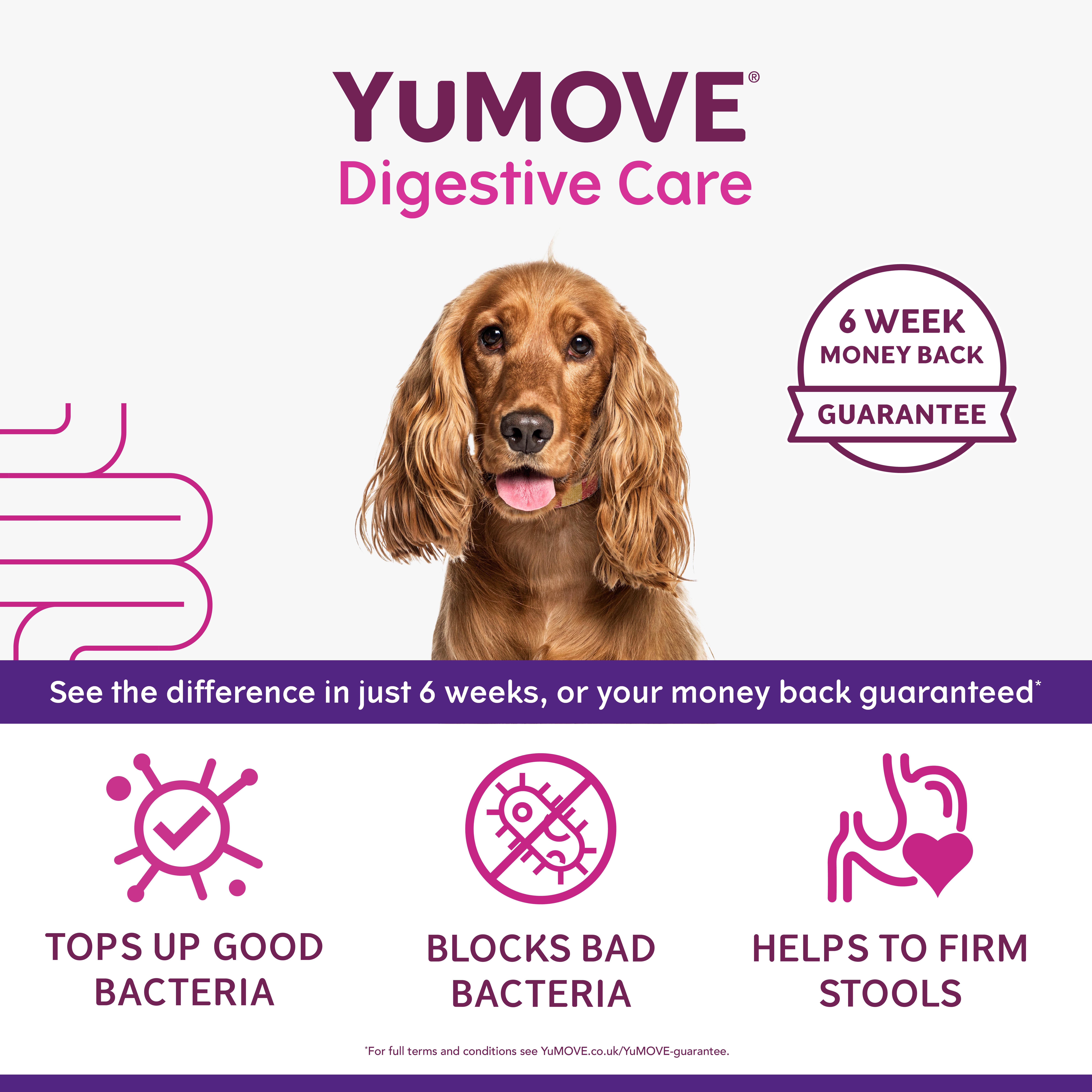 Yumove Digestive Care For All Dogs Tablets x60 49g thumbnail 4