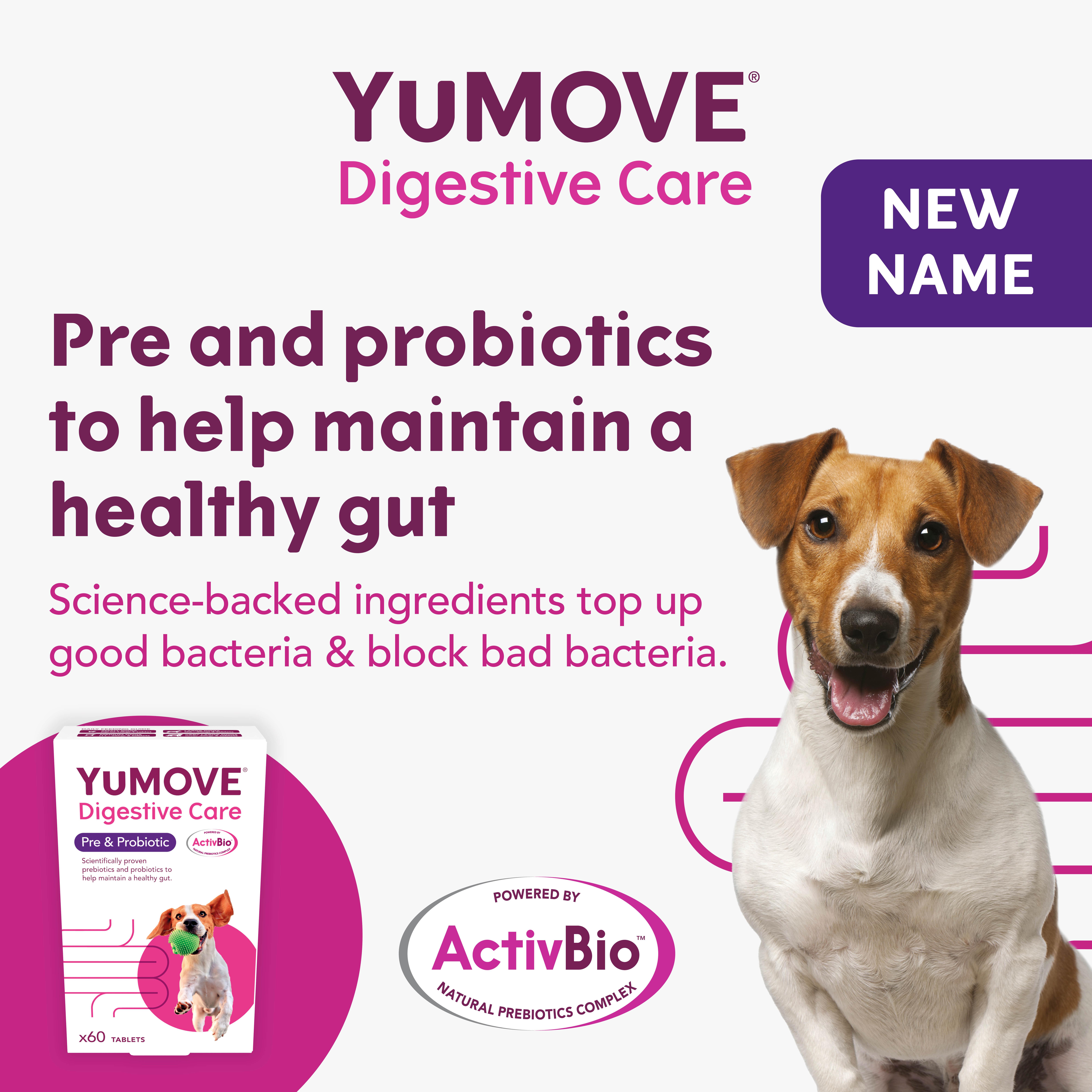 Yumove Digestive Care For All Dogs Tablets x60 49g thumbnail 5