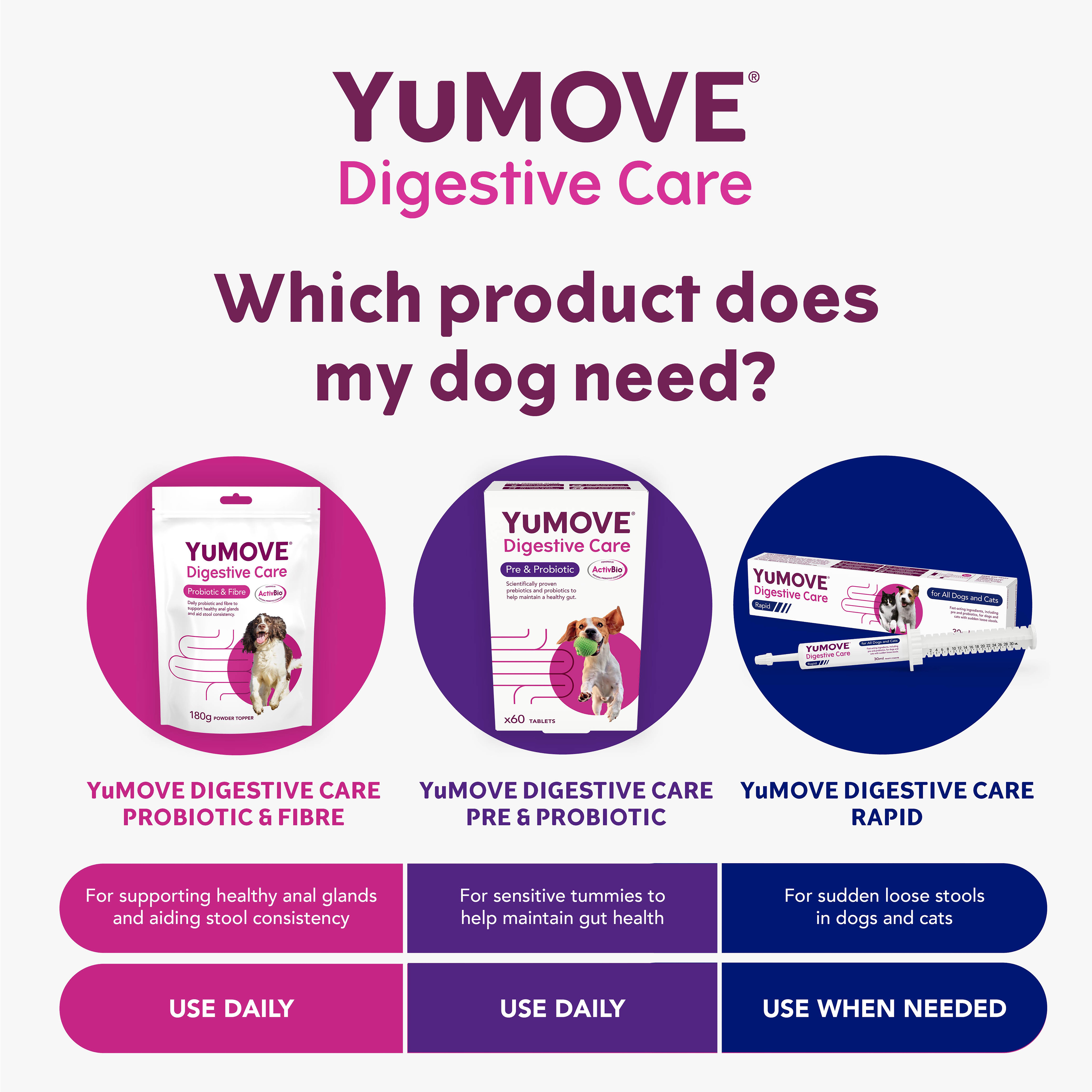 Yumove Digestive Care For All Dogs Tablets x60 49g thumbnail 6