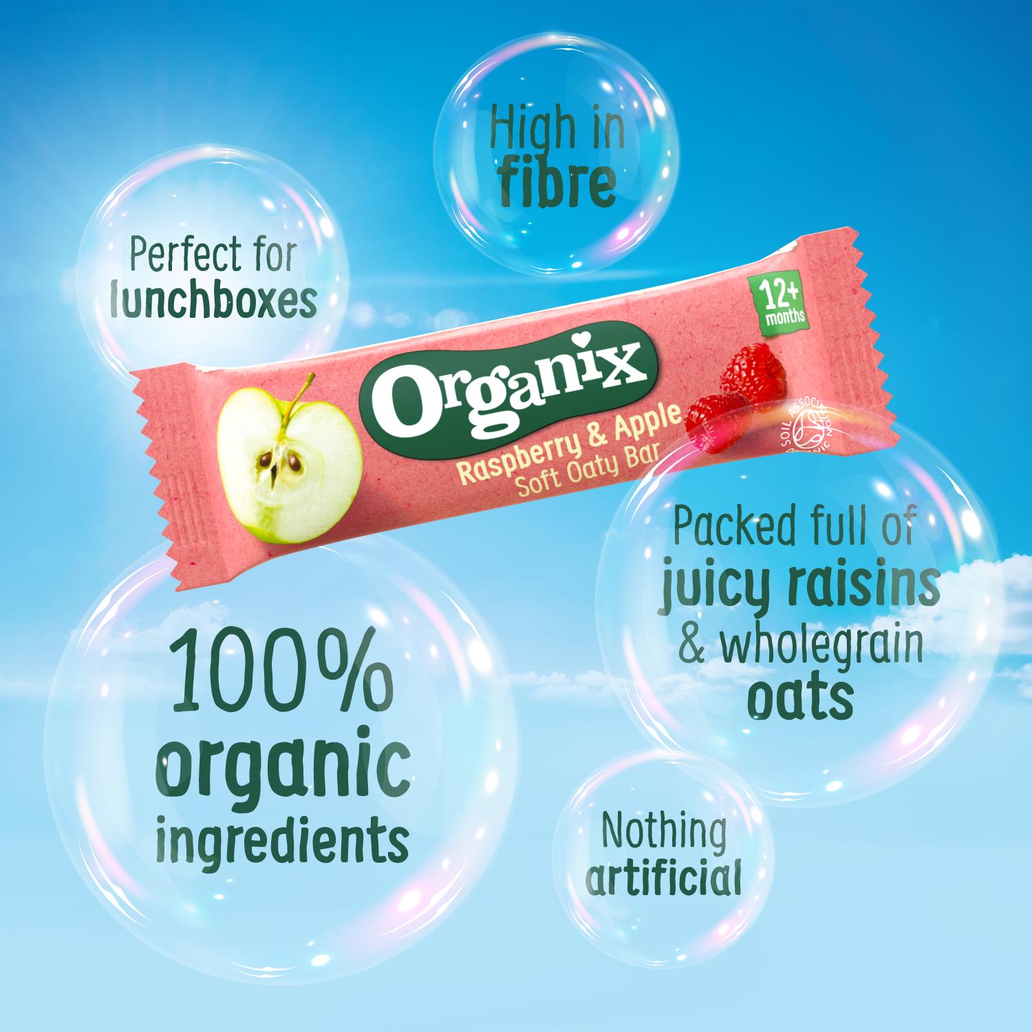 Organix Oat & Raisin Mini Flapjack Bites 12+ Months 4x20g thumbnail 2