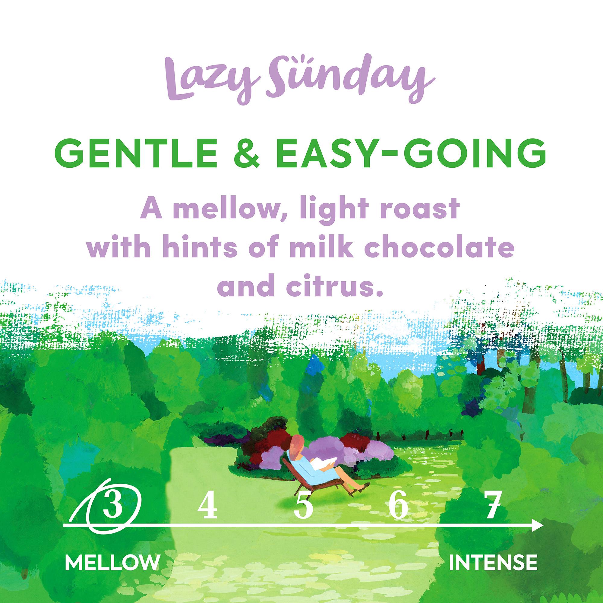 Taylors of Harrogate Lazy Sunday Roast Ground Coffee 200g thumbnail 2
