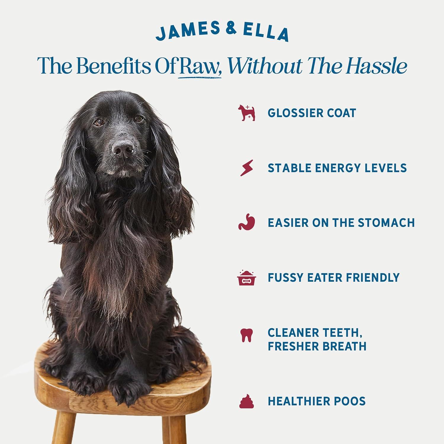 James & Ella Freeze Dried Raw Grass Fed Beef Dog Food 100g thumbnail 2