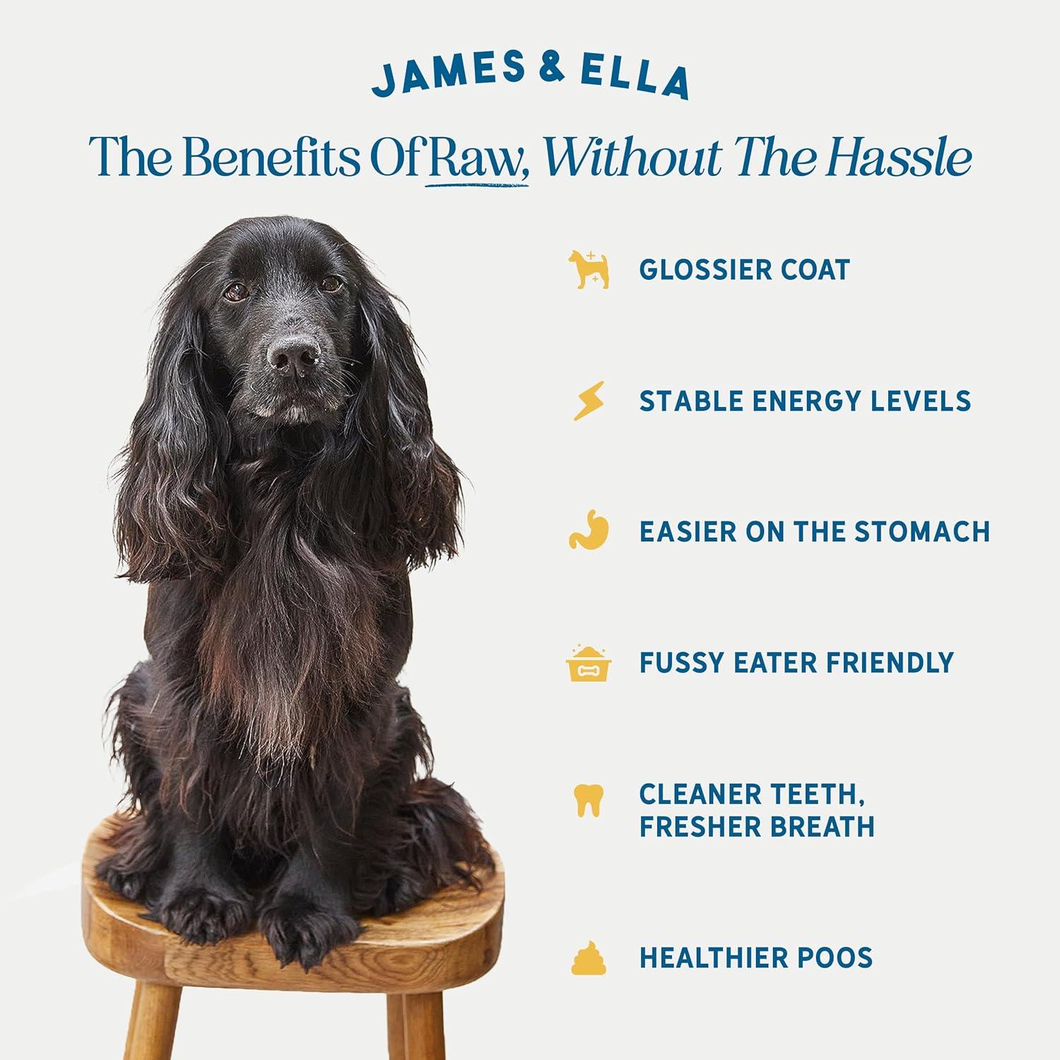 James & Ella Freeze Dried Raw Free Run Chicken Dog Food 500g thumbnail 2
