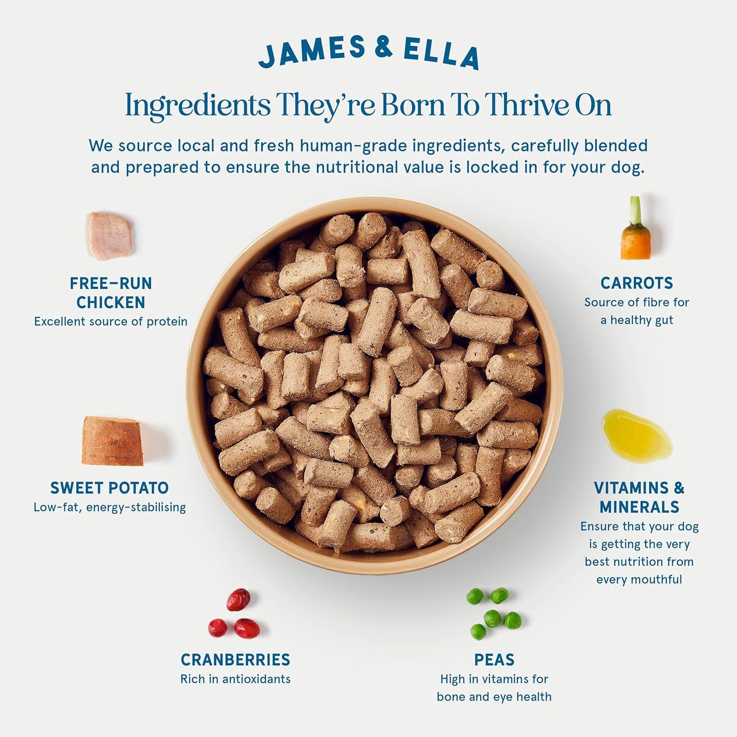 James & Ella Freeze Dried Raw Free Run Chicken Dog Food 500g thumbnail 3