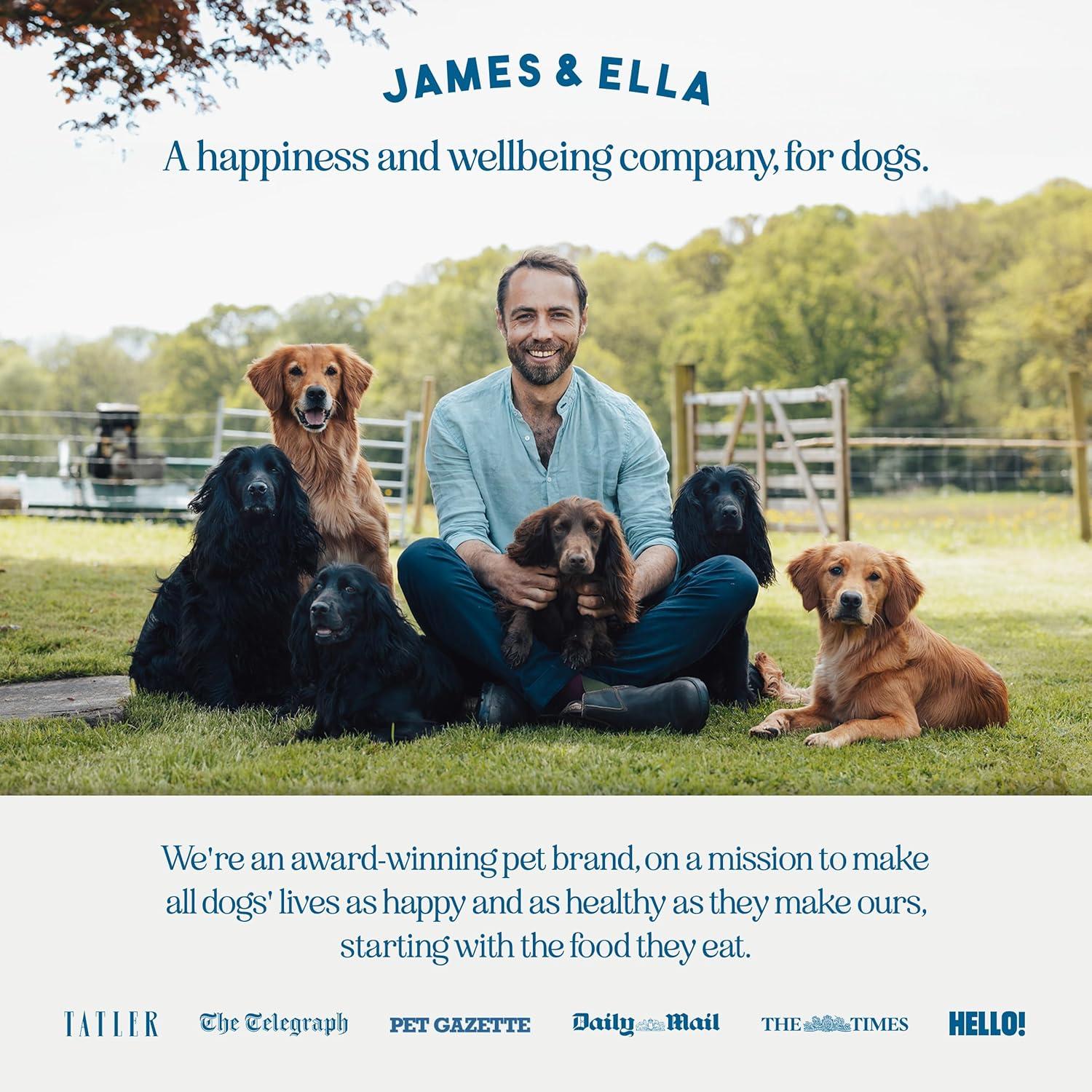 James & Ella Freeze Dried Raw Free Run Chicken Dog Food 500g thumbnail 6