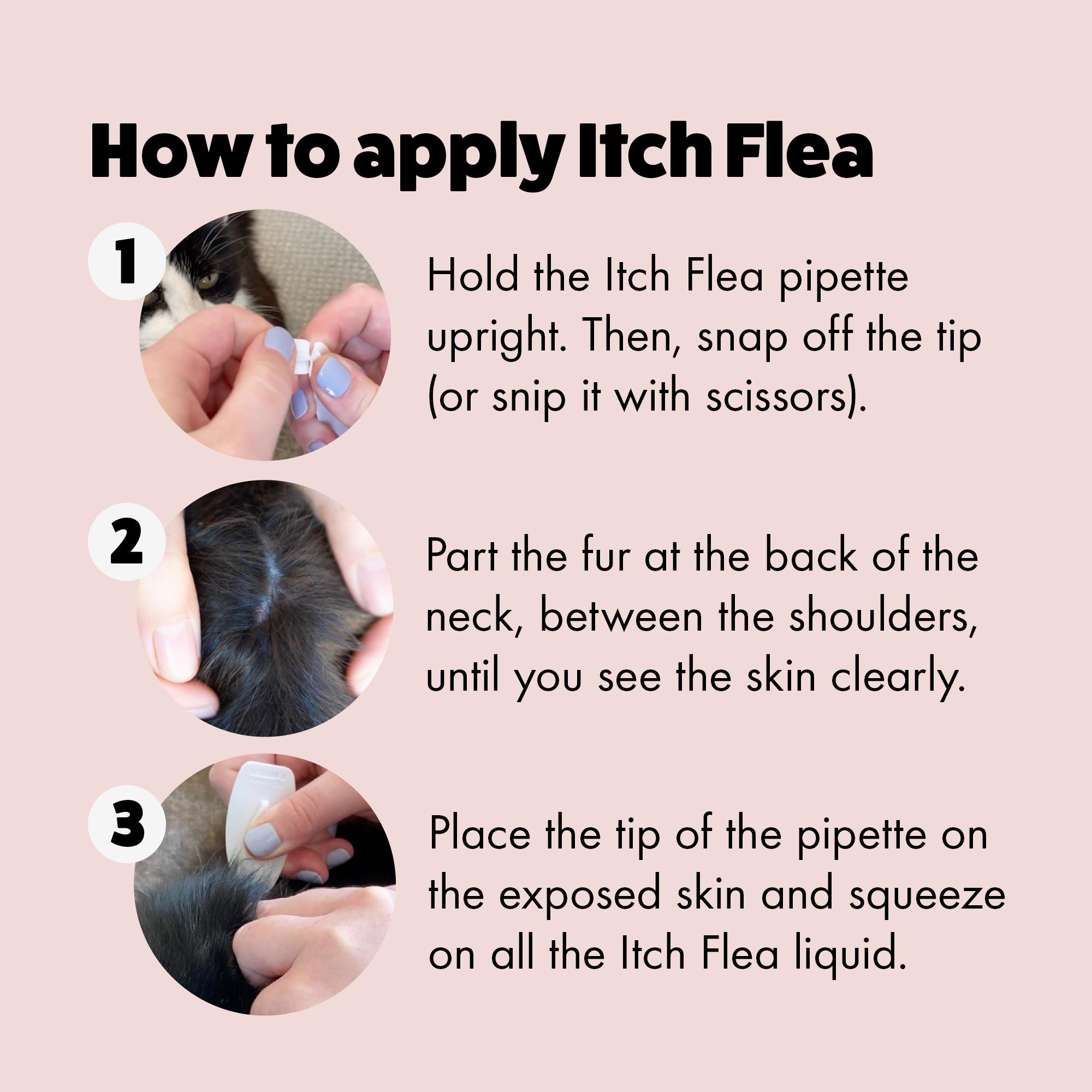 Itch Flea Cat Flea & Tick Spot On Treatment 3 Pipette (1kg+) thumbnail 3
