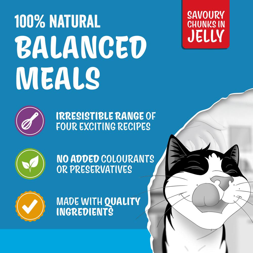 Felix Original Senior 7+ Fish Selection in Jelly Wet Cat Food 40 x 85g thumbnail 5