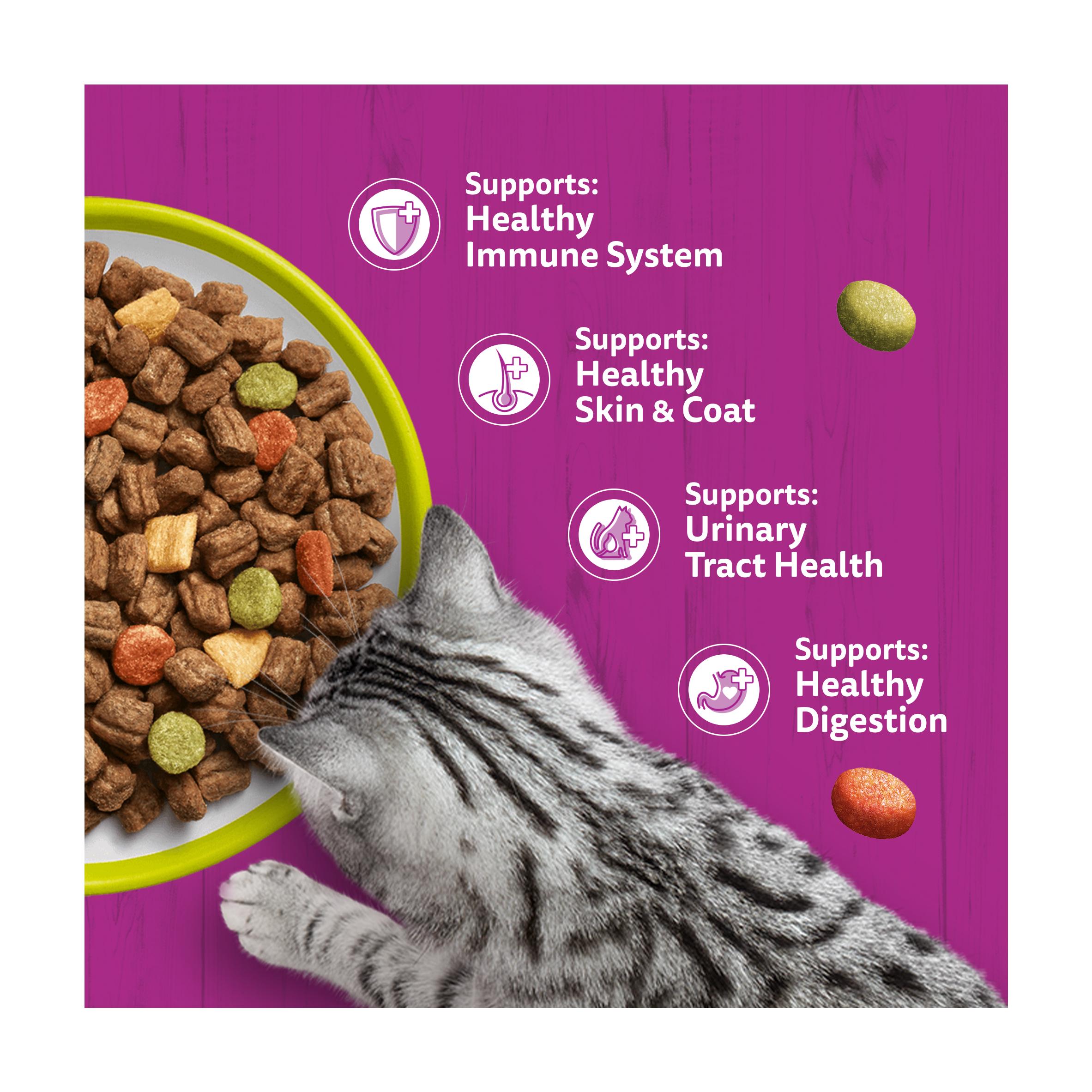 Whiskas 1+ Lamb Adult Dry Cat Food 1.9kg thumbnail 3