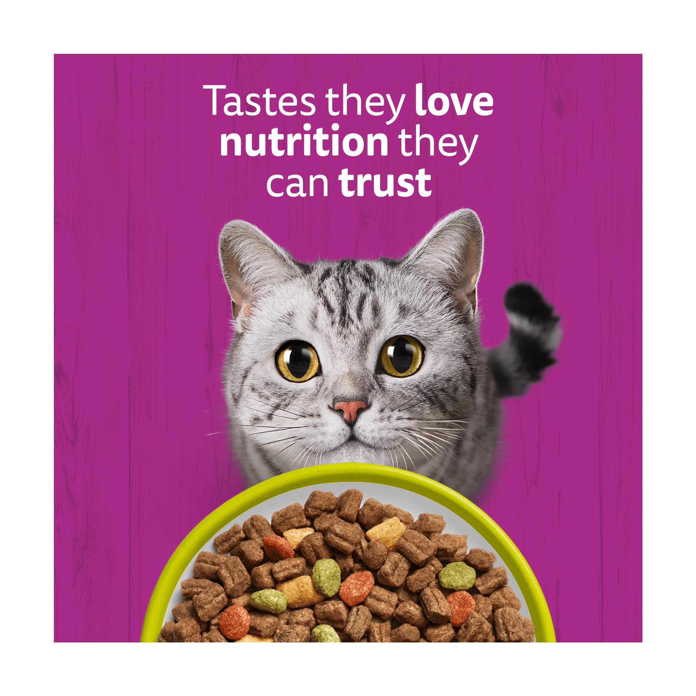 Whiskas 1+ Lamb Adult Dry Cat Food 1.9kg thumbnail 5