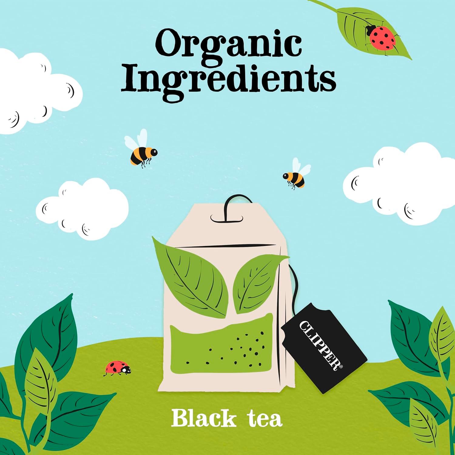 Clipper Organic Everyday Tea Bags x160 464g thumbnail 3