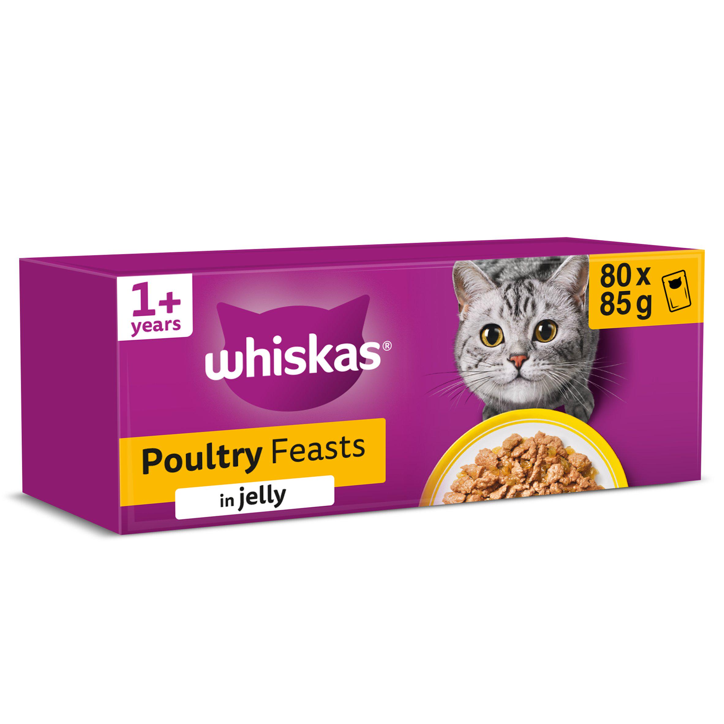 1+ Poultry Feasts Adult Wet Cat Food Pouches in Jelly