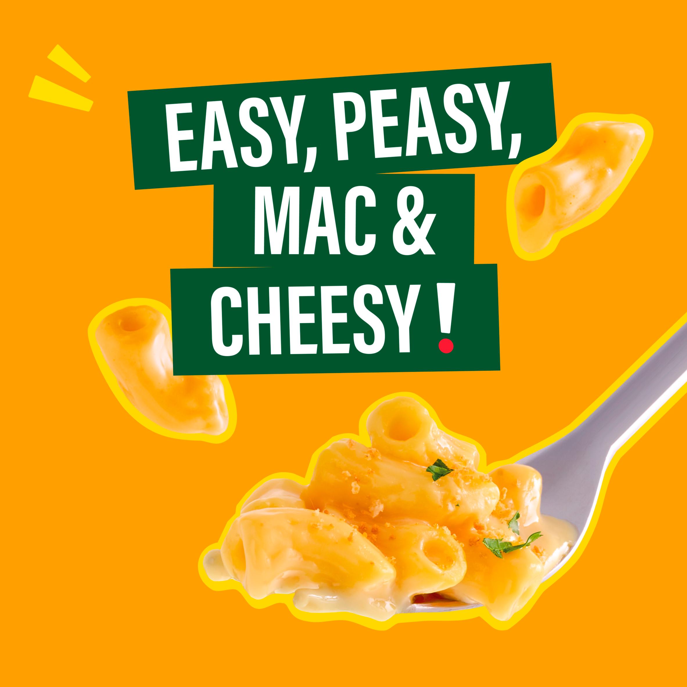 Dolmio Feasts Cheesy Mac & Cheese Pasta Ready Meal 250g thumbnail 5