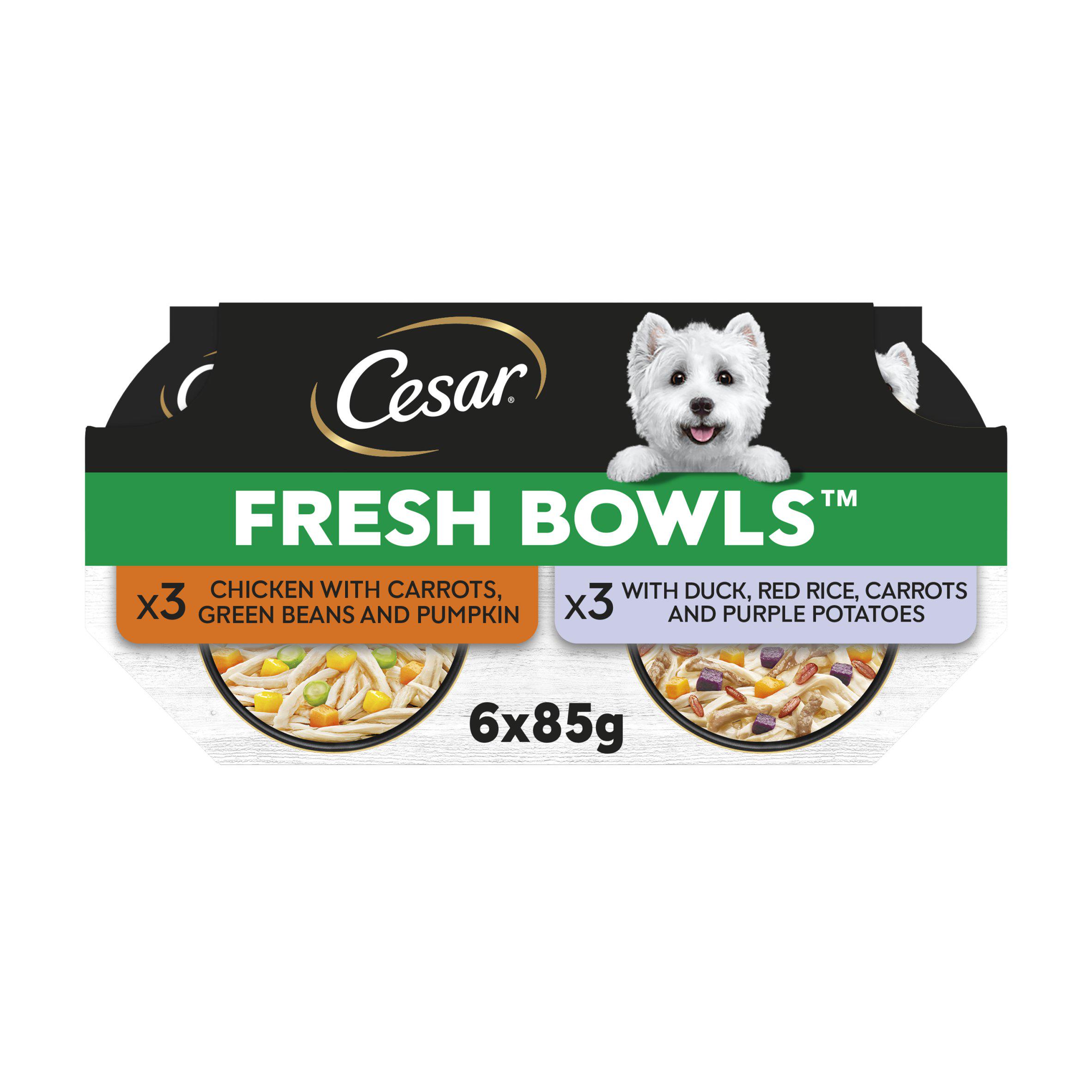CESAR Wet Dog Food Fresh Bowls mixed selection of Poultry and Fresh Vegetables 6 x 85g