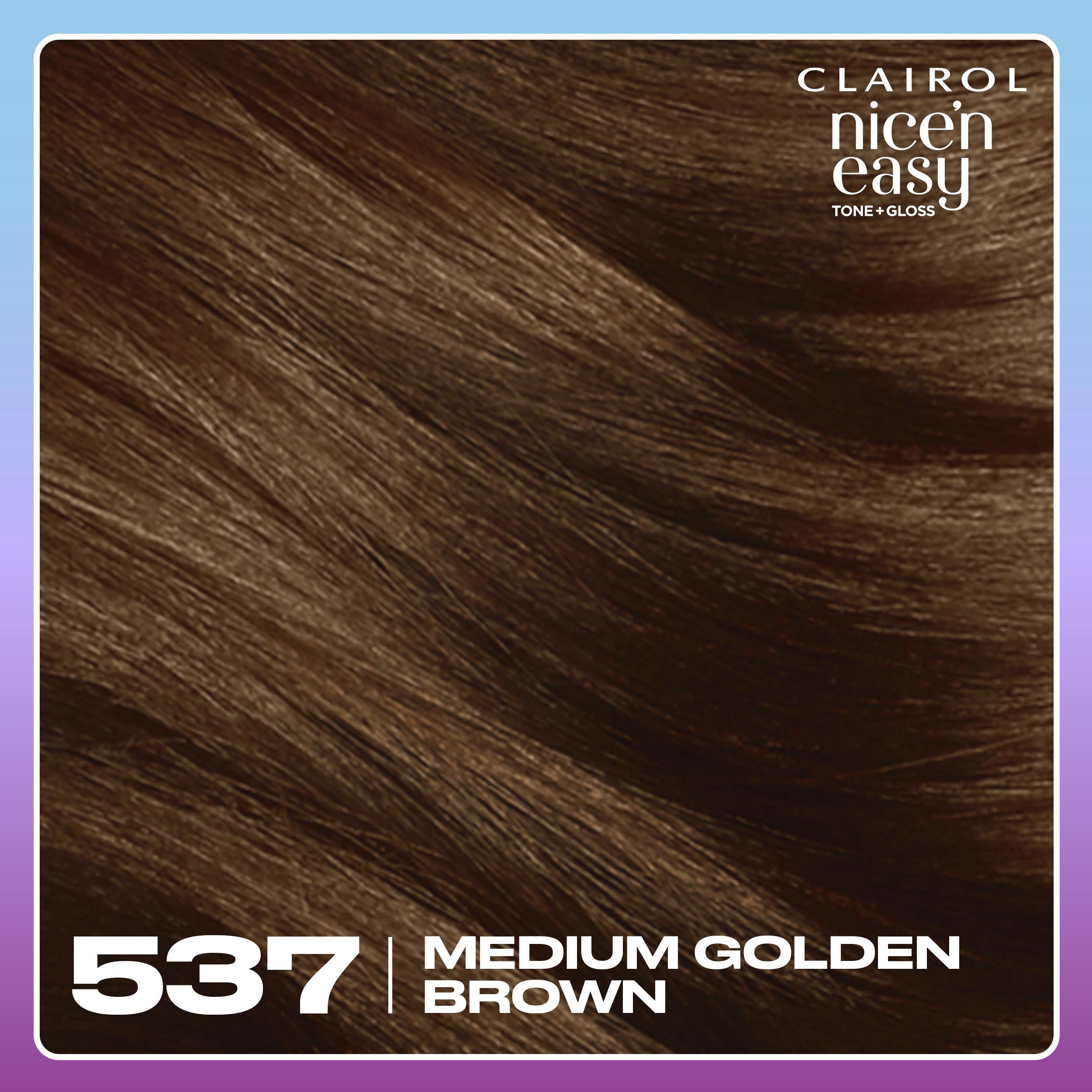 Clairol Nice'N Easy Tone+Gloss Medium Golden Brown 537/78 Semi Permanent Hair Dye thumbnail 4