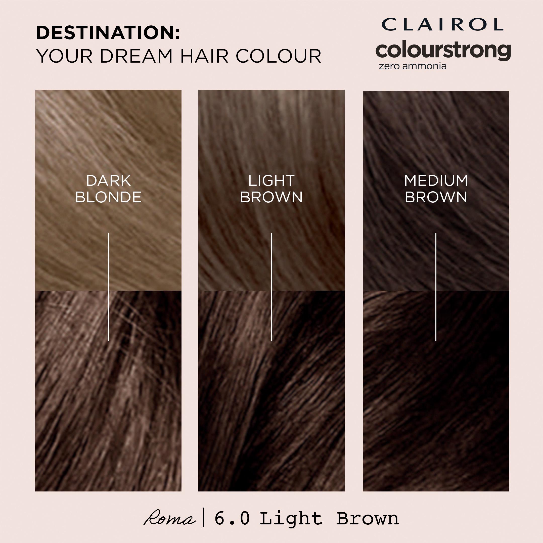 Clairol Colour Strong Light Brown 6.0 Permanent Hair Dye thumbnail 2