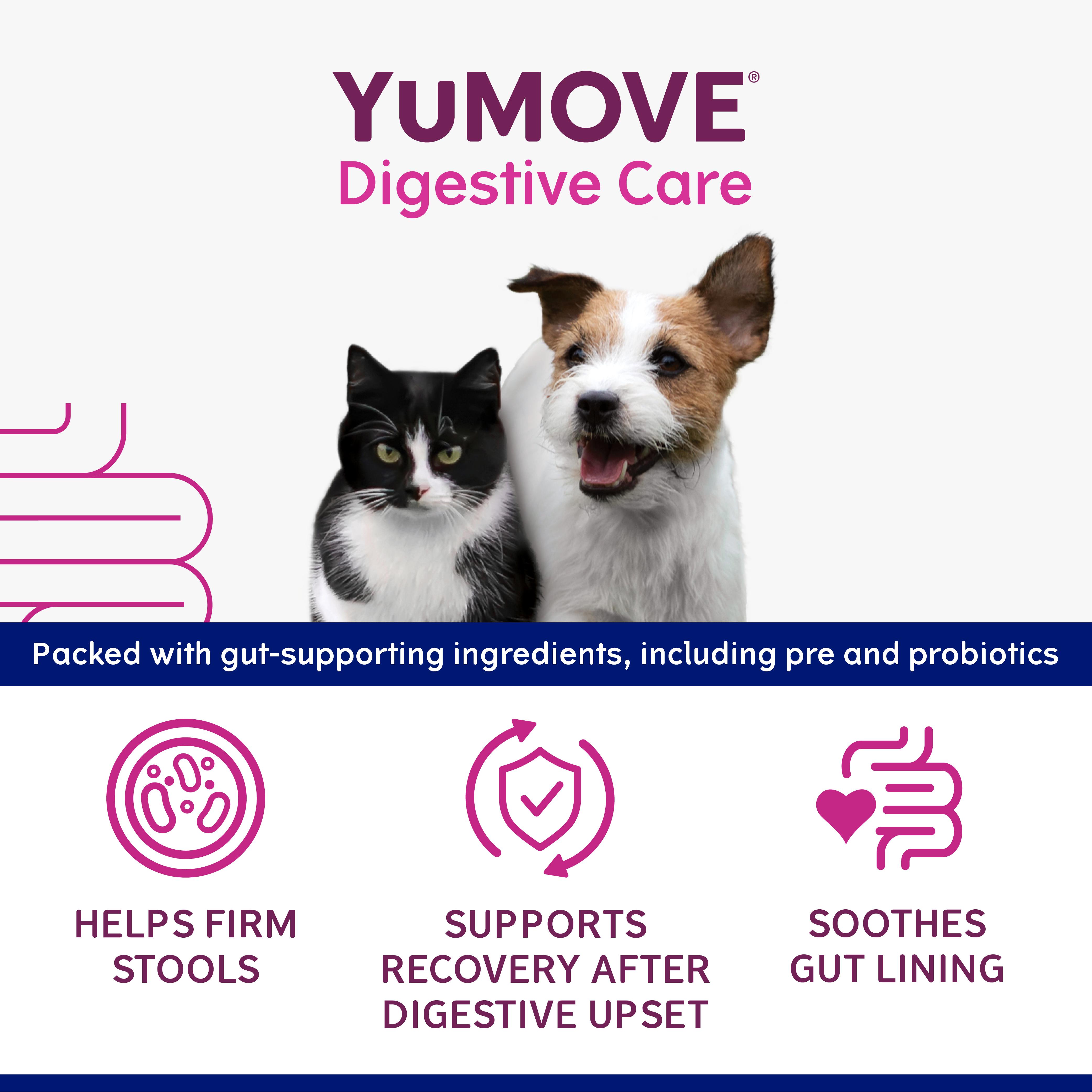 Yumove Digestive Care Rapid for All Dogs & Cats Tasty Paste 30ml thumbnail 2