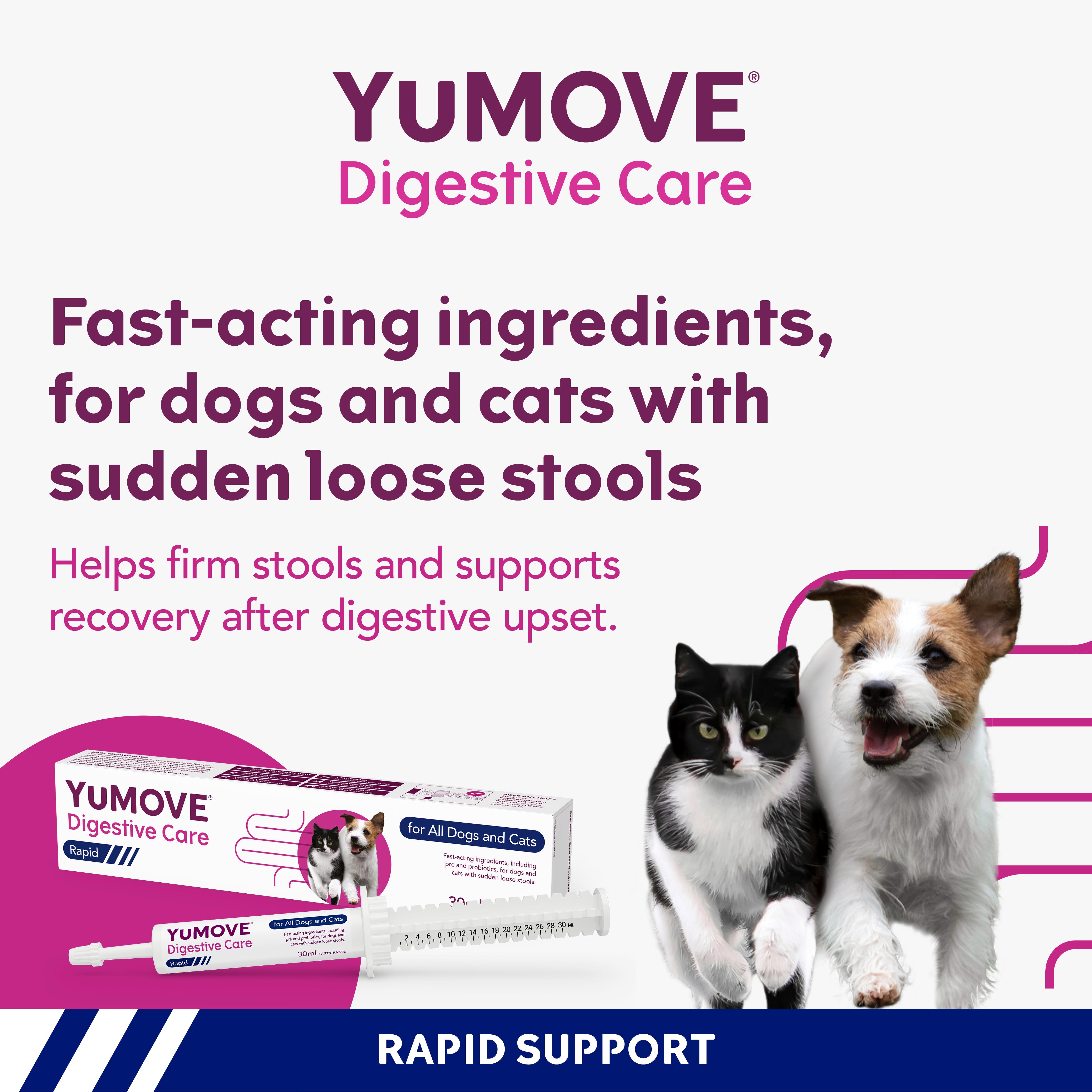 Yumove Digestive Care Rapid for All Dogs & Cats Tasty Paste 30ml thumbnail 3