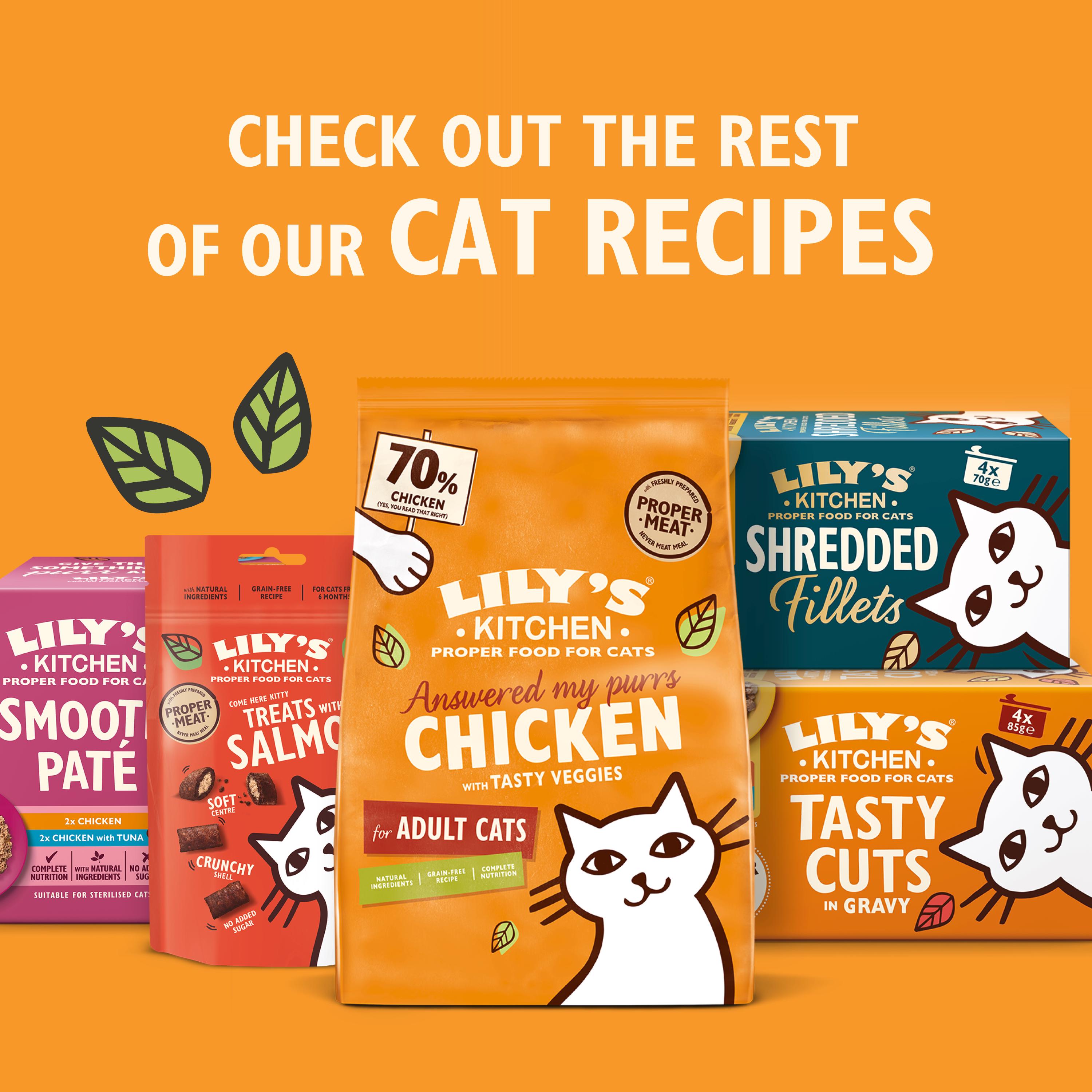 Lilys Kitchen Smooth Pate Multipack Complete Adult Cat Food 4 x 85g thumbnail 6