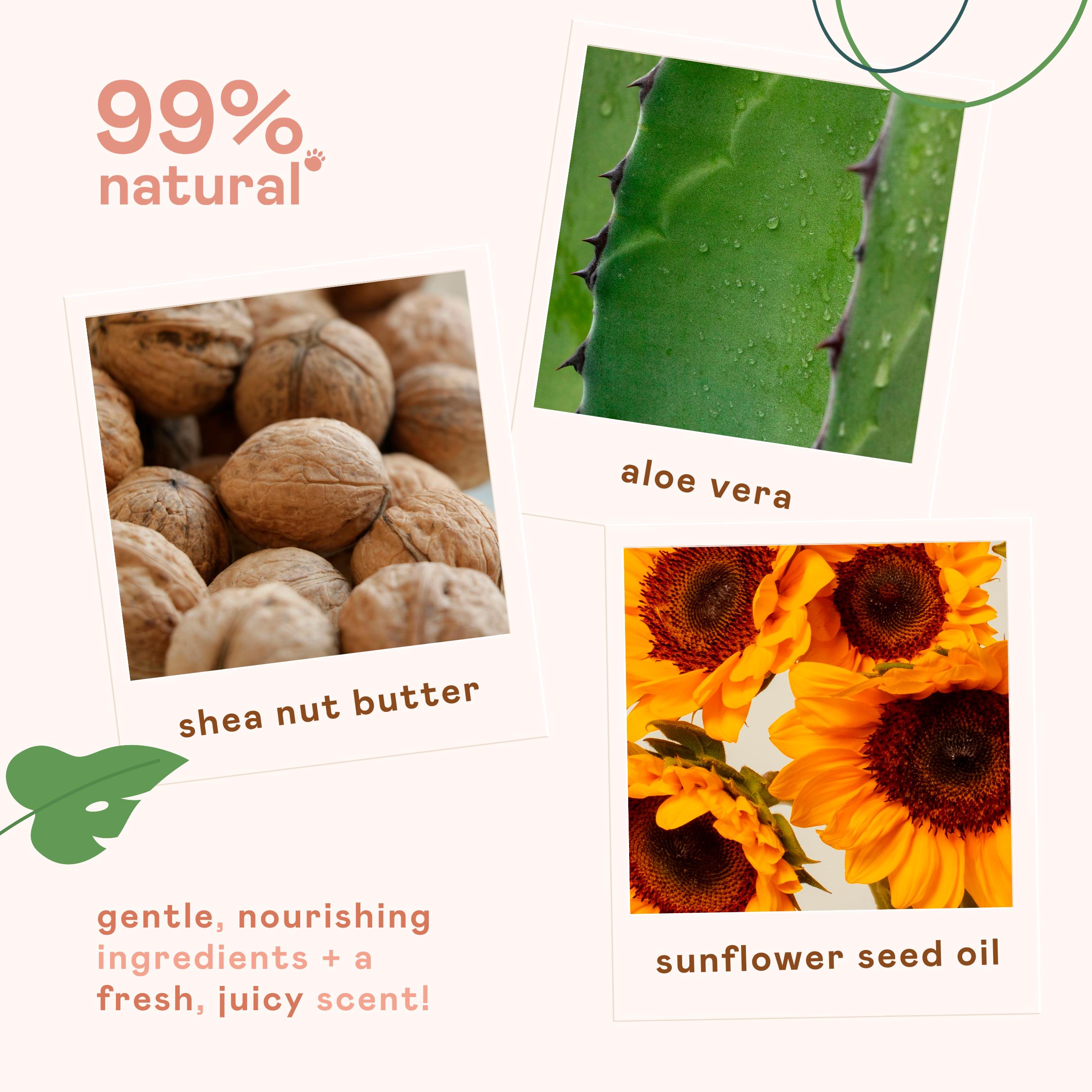Nala's Kids Tropical Blast Curl Moisturiser with Shea Nut Butter & Aloe Vera 150ml thumbnail 4
