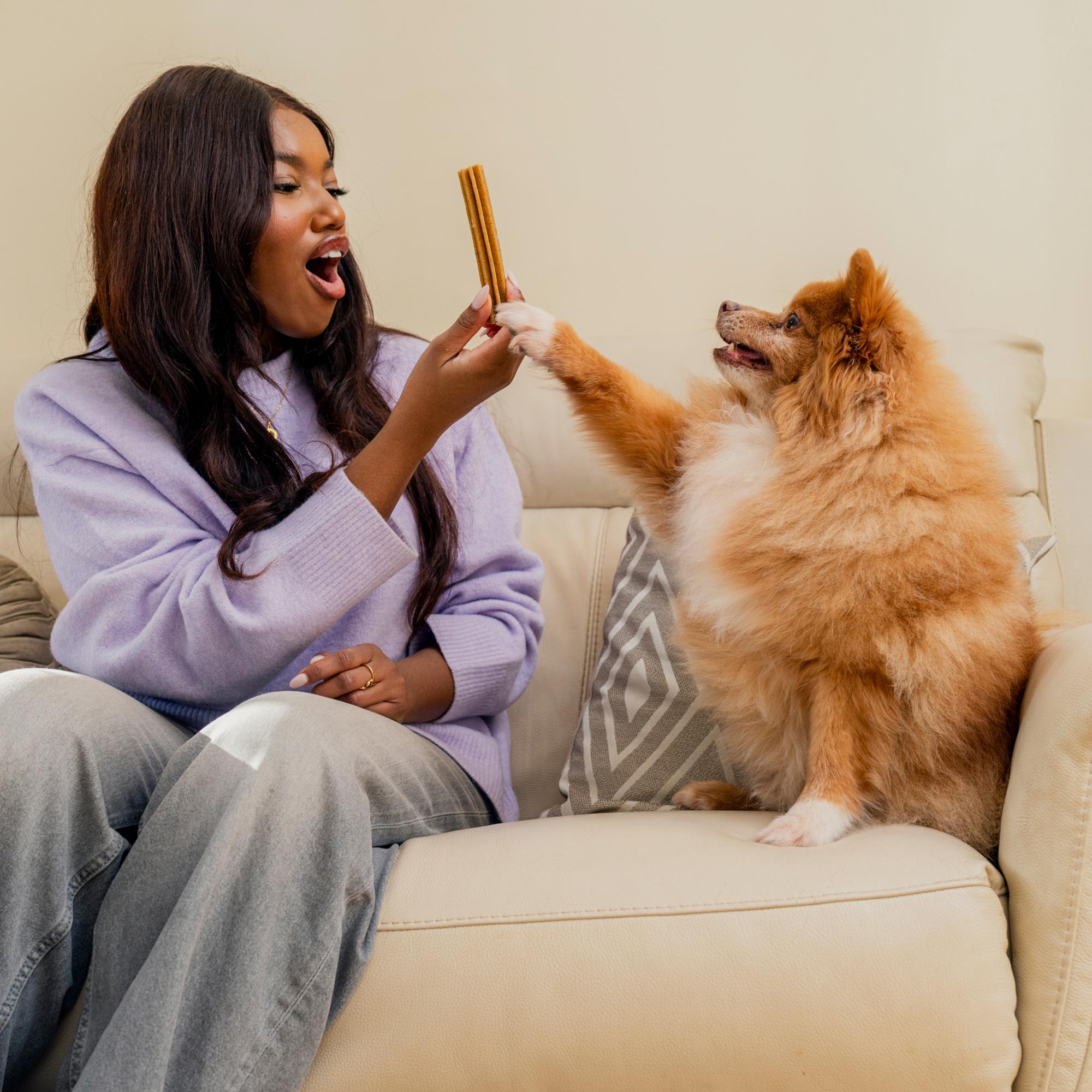 Pooch & Mutt Hemp & Sage Calming Dental Sticks Dog Treats 251g thumbnail 5