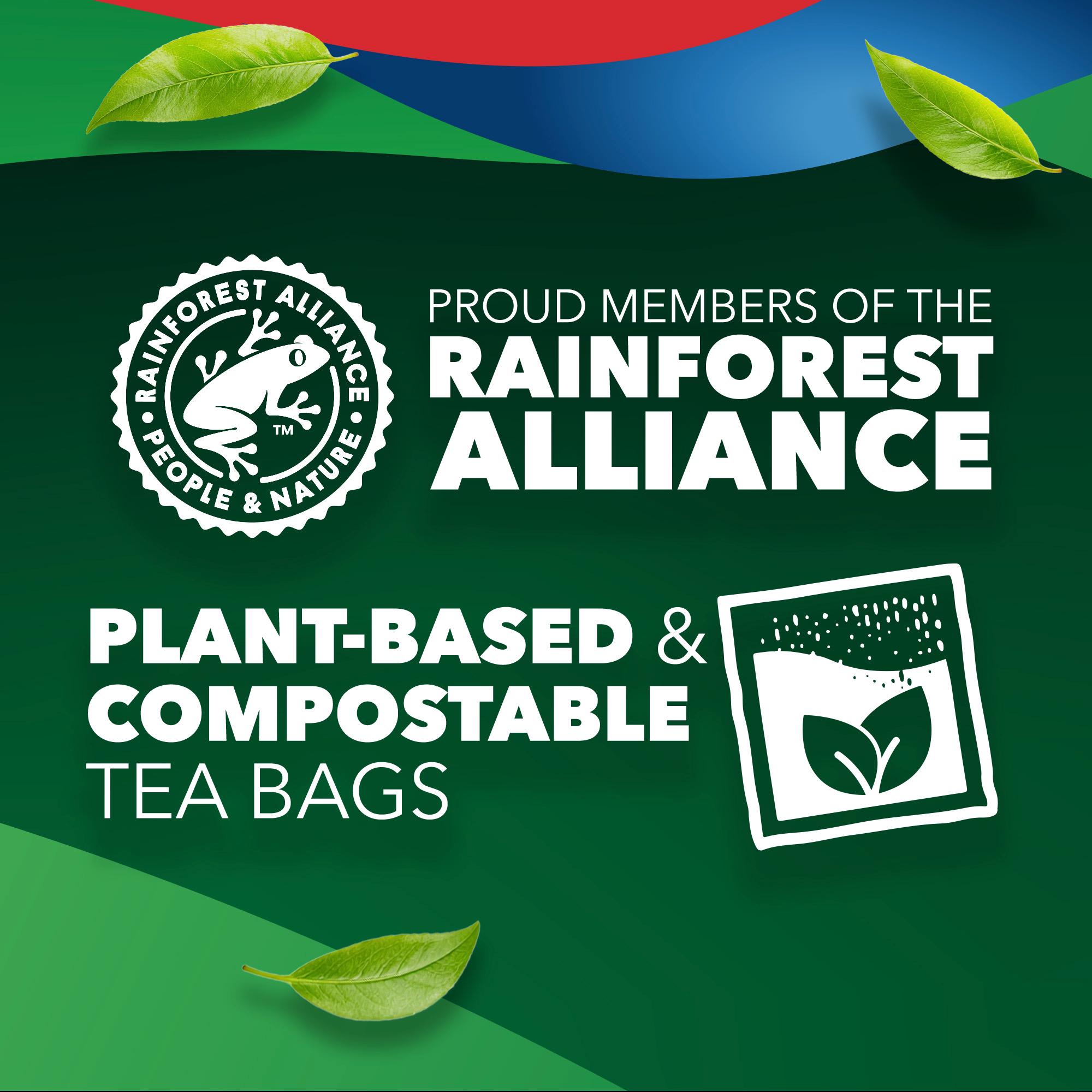 PG Tips Decaf Tea Bags x160 thumbnail 6