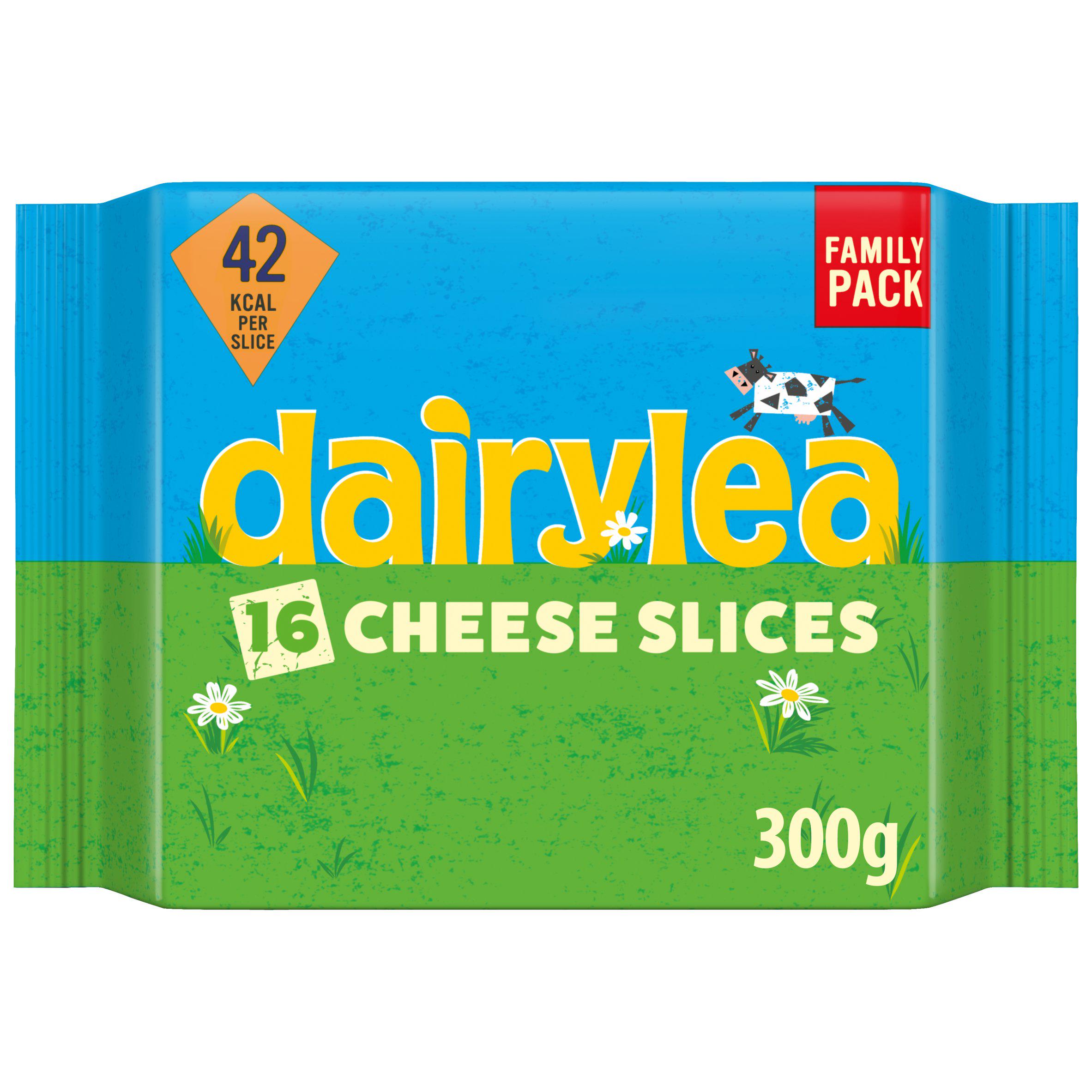 Dairylea Cheese Slices Family Pack Multipack 16 x 18.75g