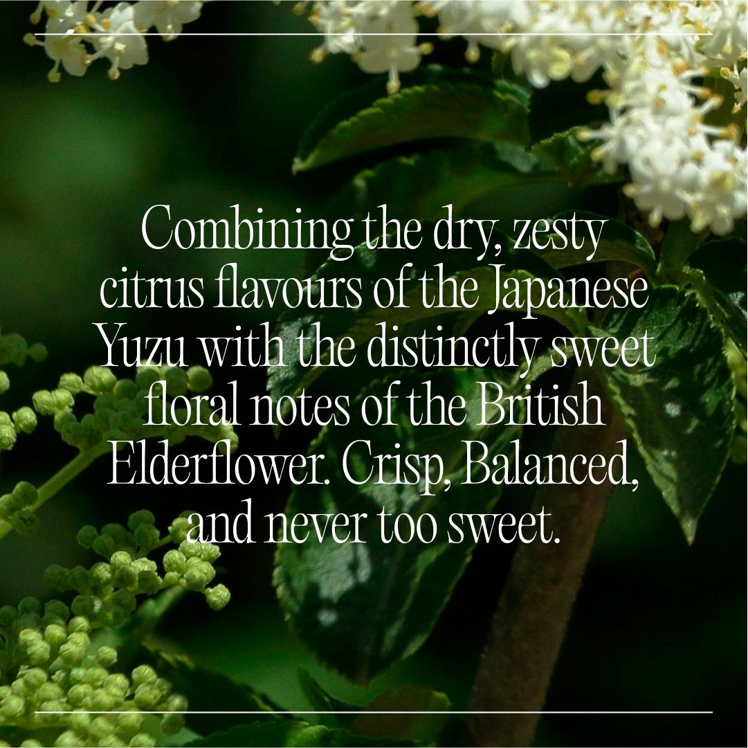 Goodrays 4 x 250ml Elderflower & Yuzu Natural 30mg CBD Drink thumbnail 3
