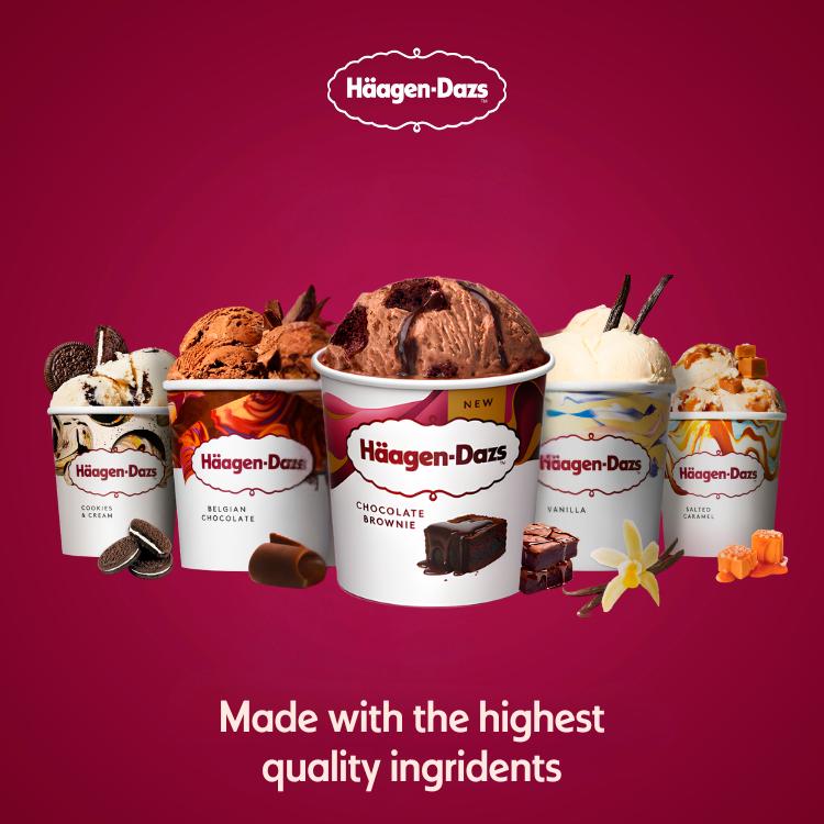 Haagen-Dazs 349g Chocolate Brownie Ice Cream thumbnail 3