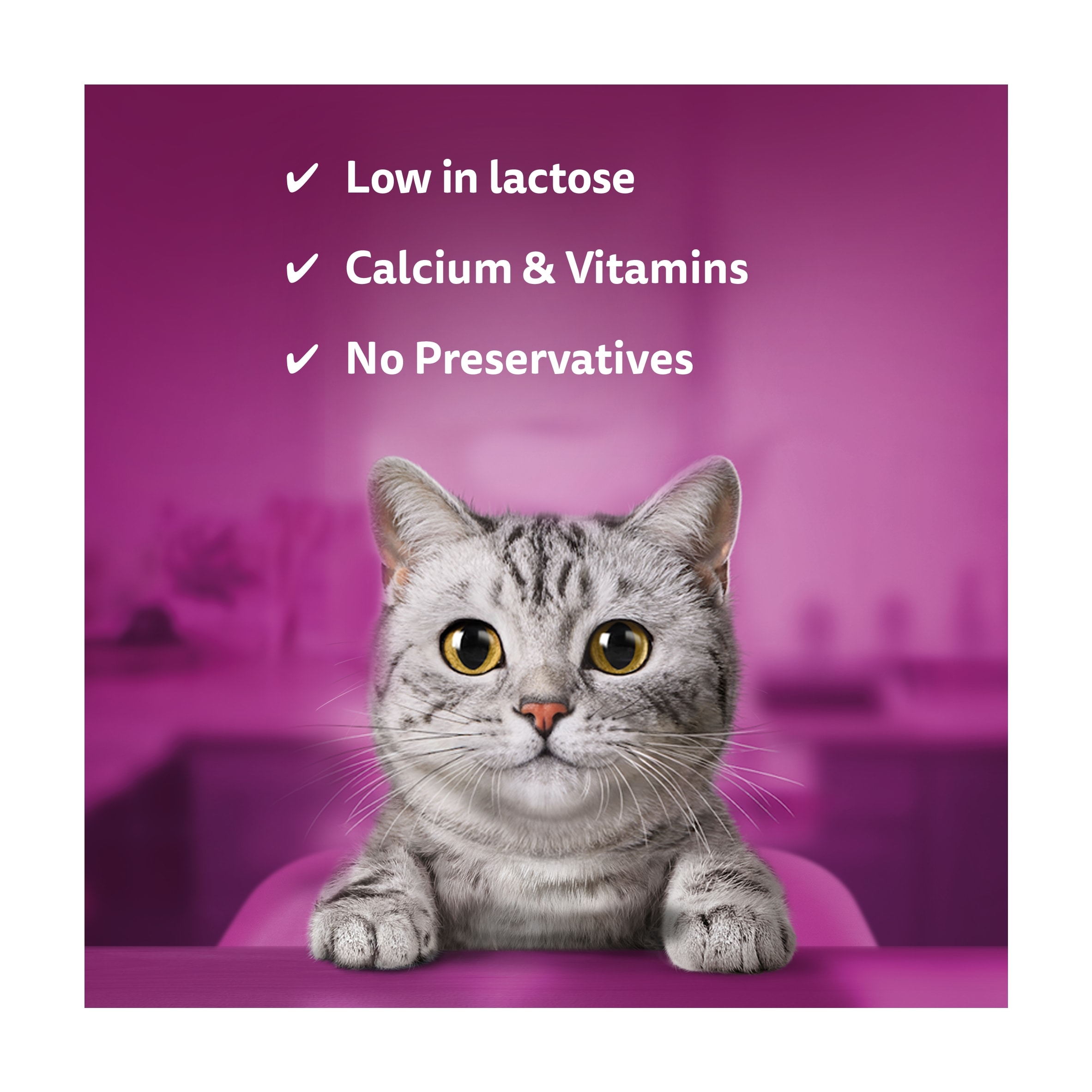 Whiskas Kitten Cat Milk Bottle 3 Pack x 200ml thumbnail 2