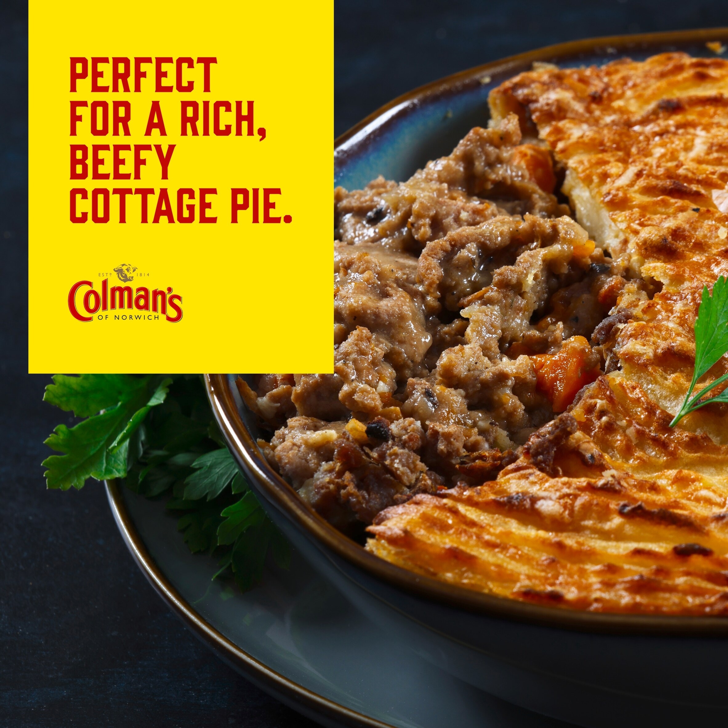 Colman's Cottage Pie Recipe Mix 45G thumbnail 5