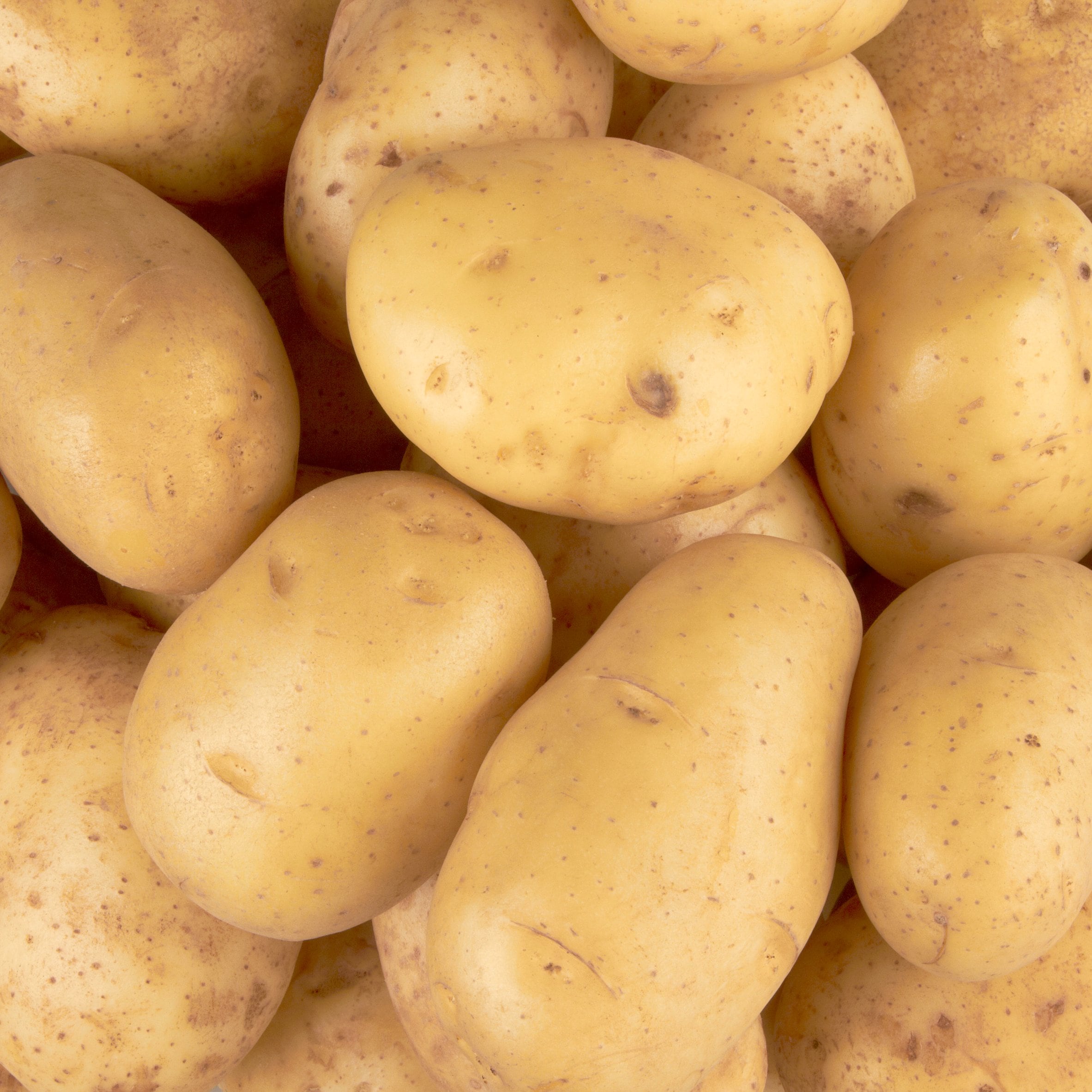Tesco Large Baking Potatoes Loose thumbnail 2