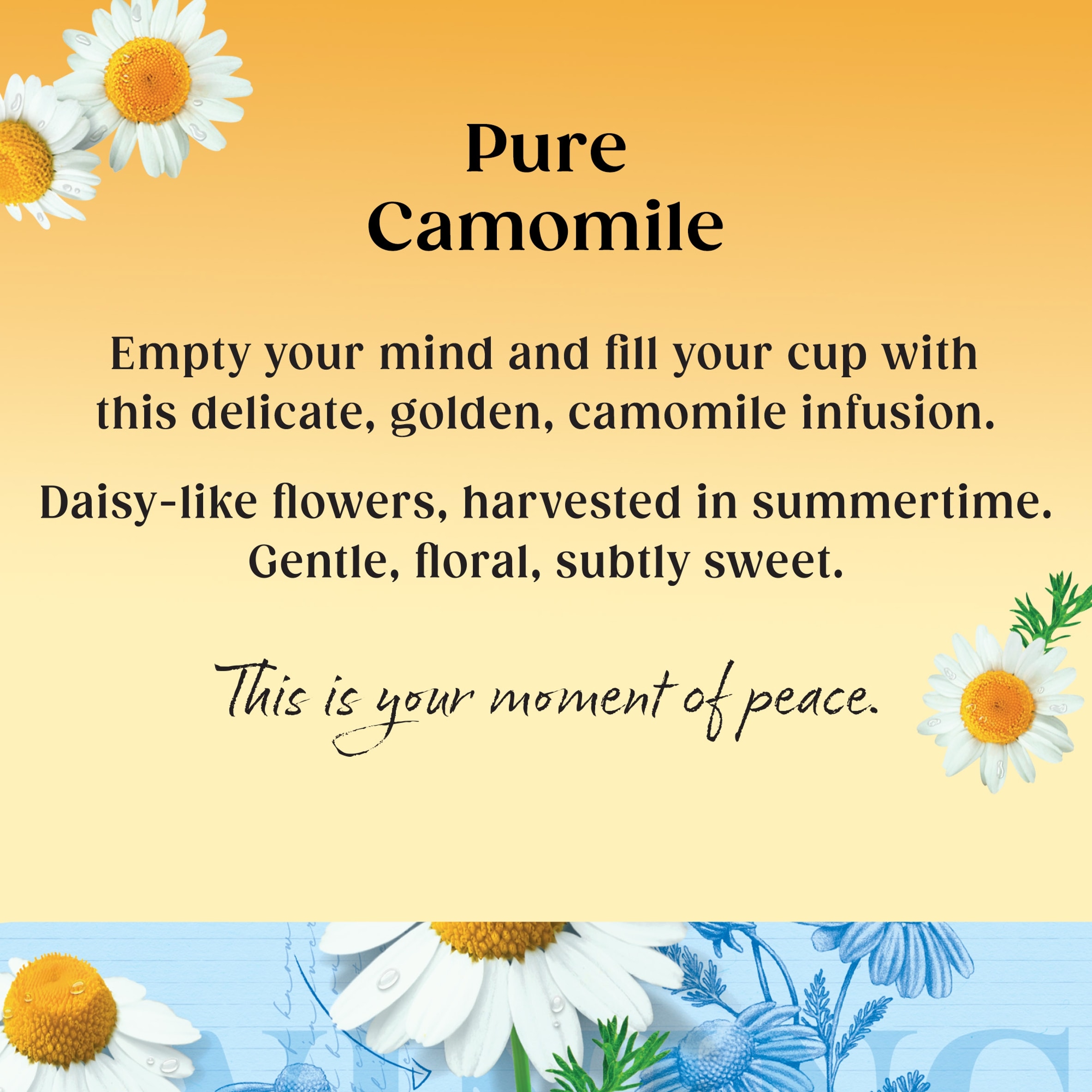 Twinings Camomile 20 Tea Bags 30G thumbnail 3